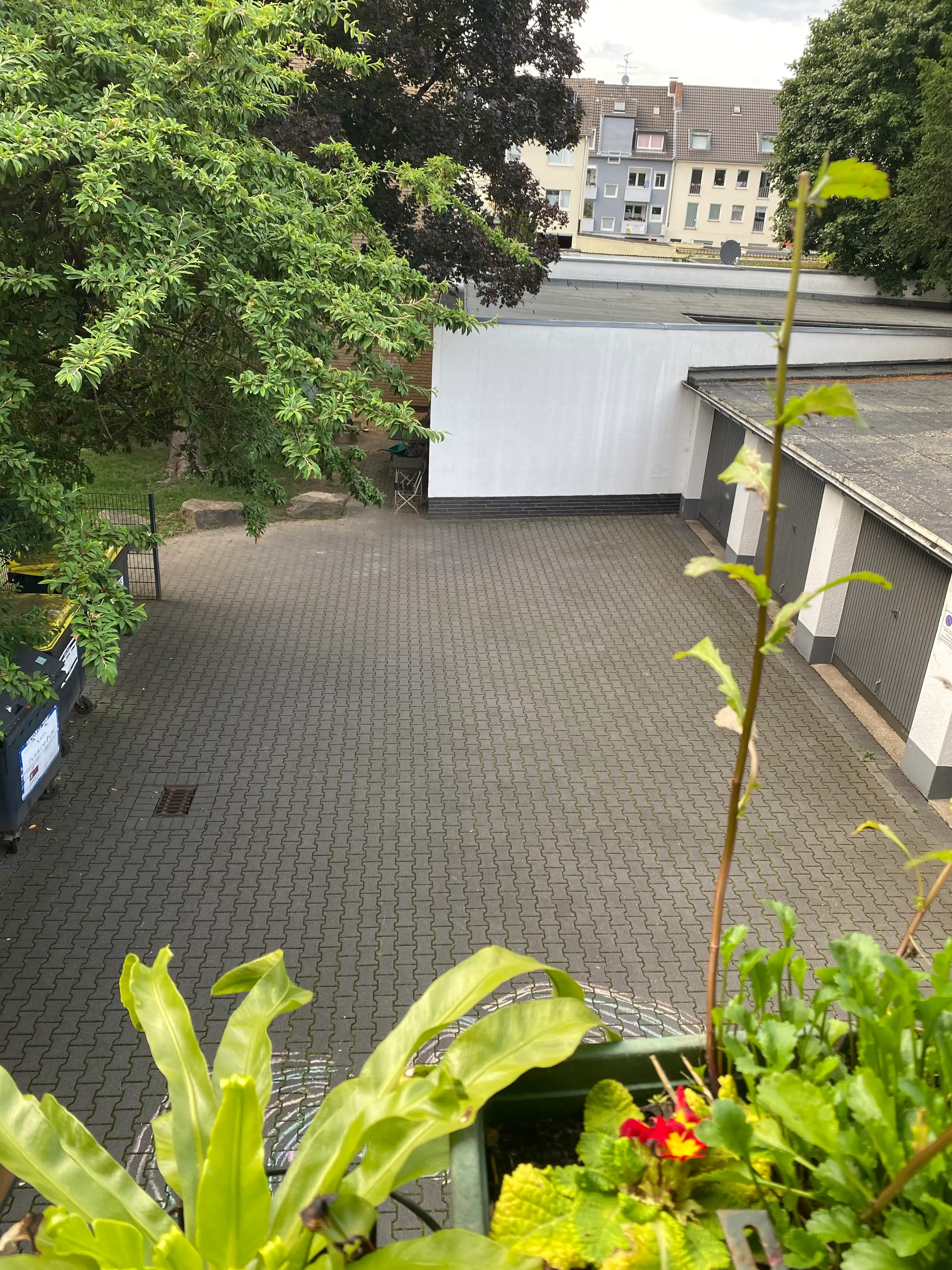 image-8