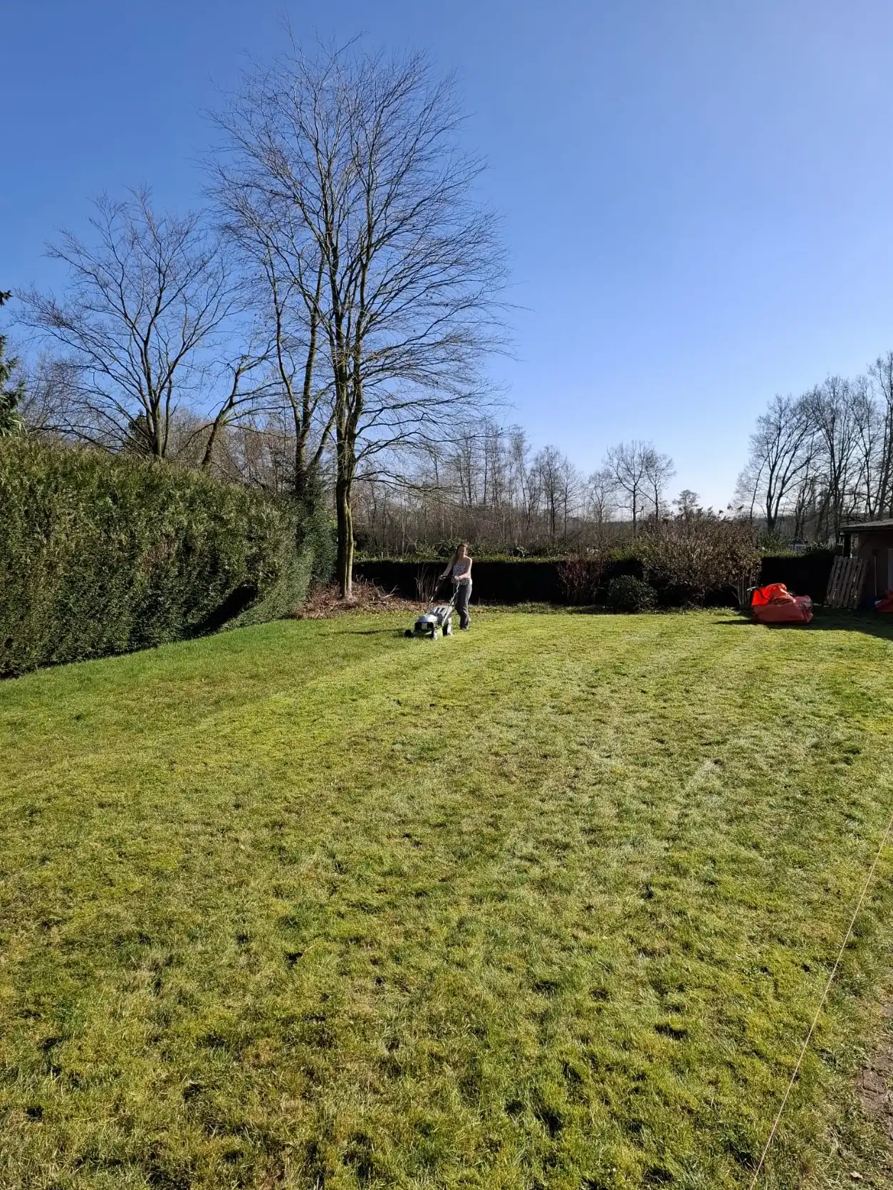 image-13
