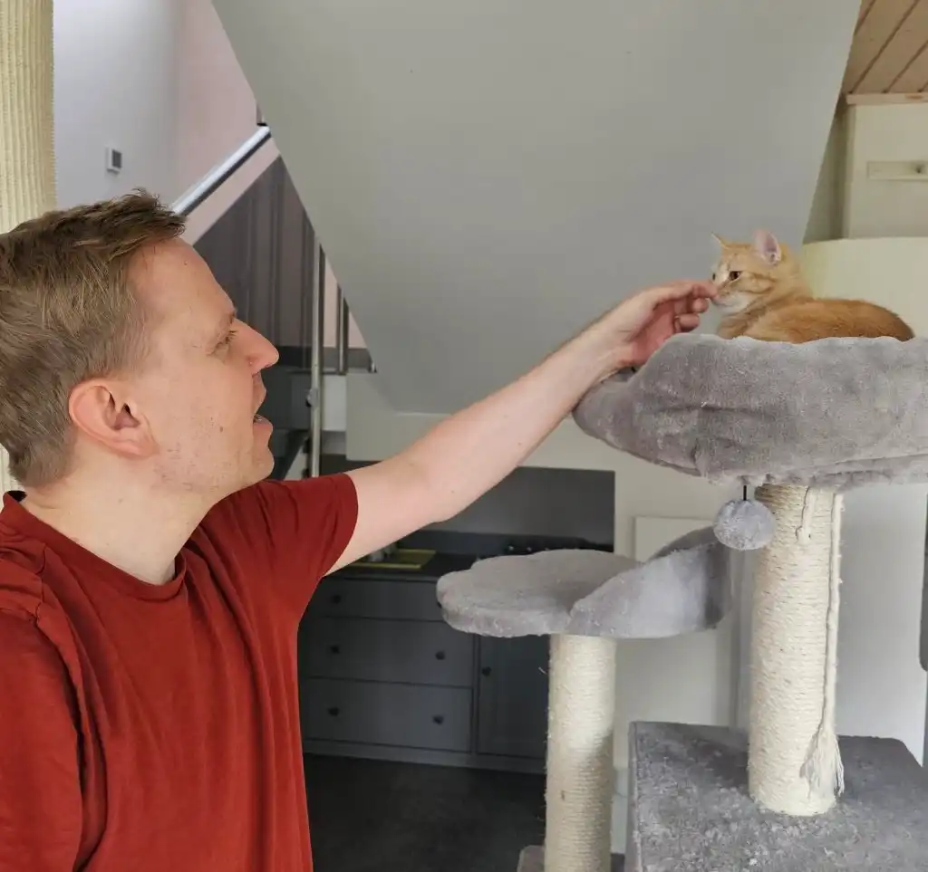 image-37