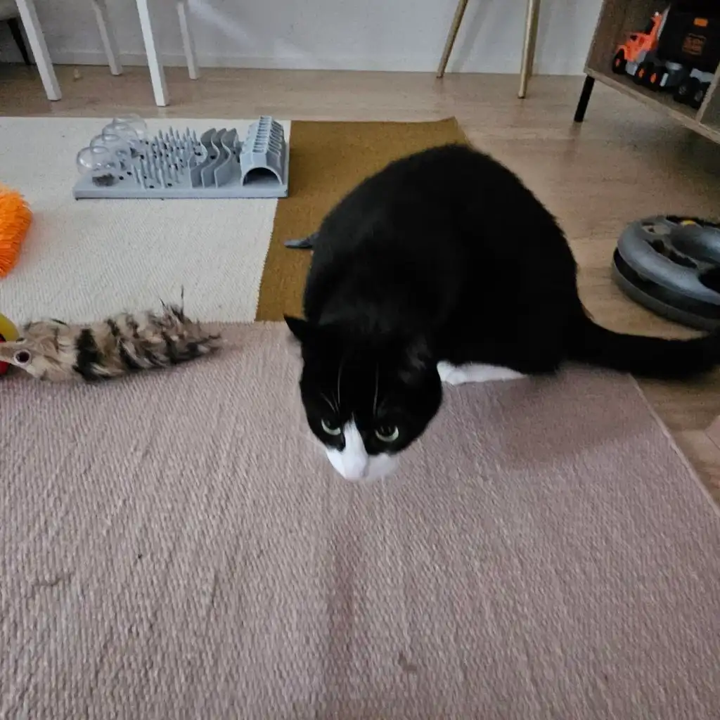 image-63