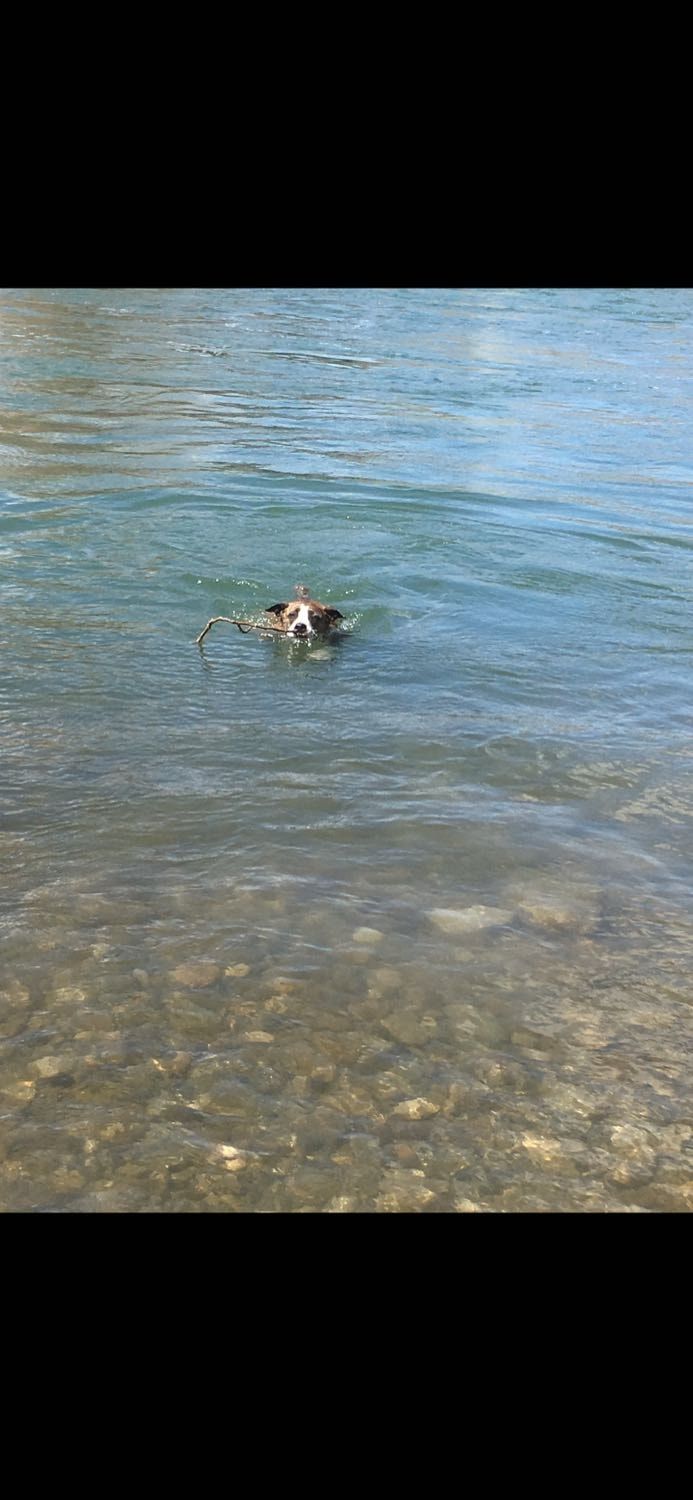 image-7