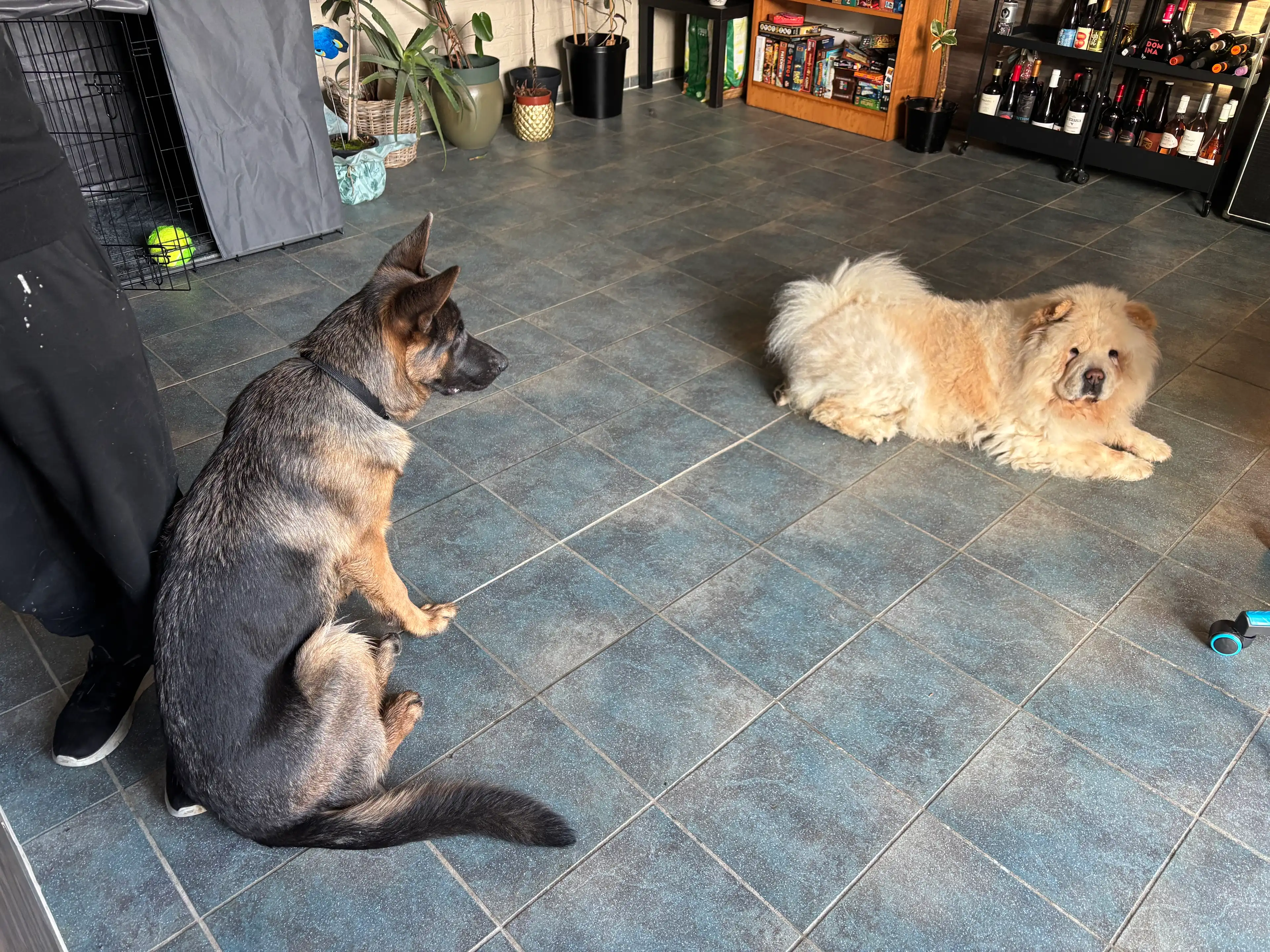image-32