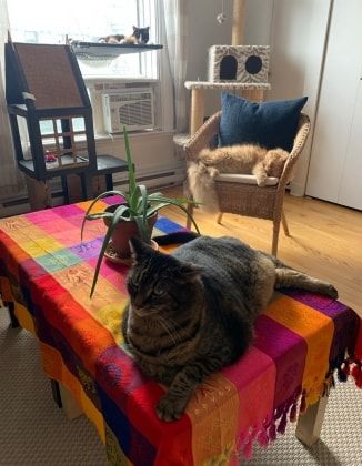 image-13