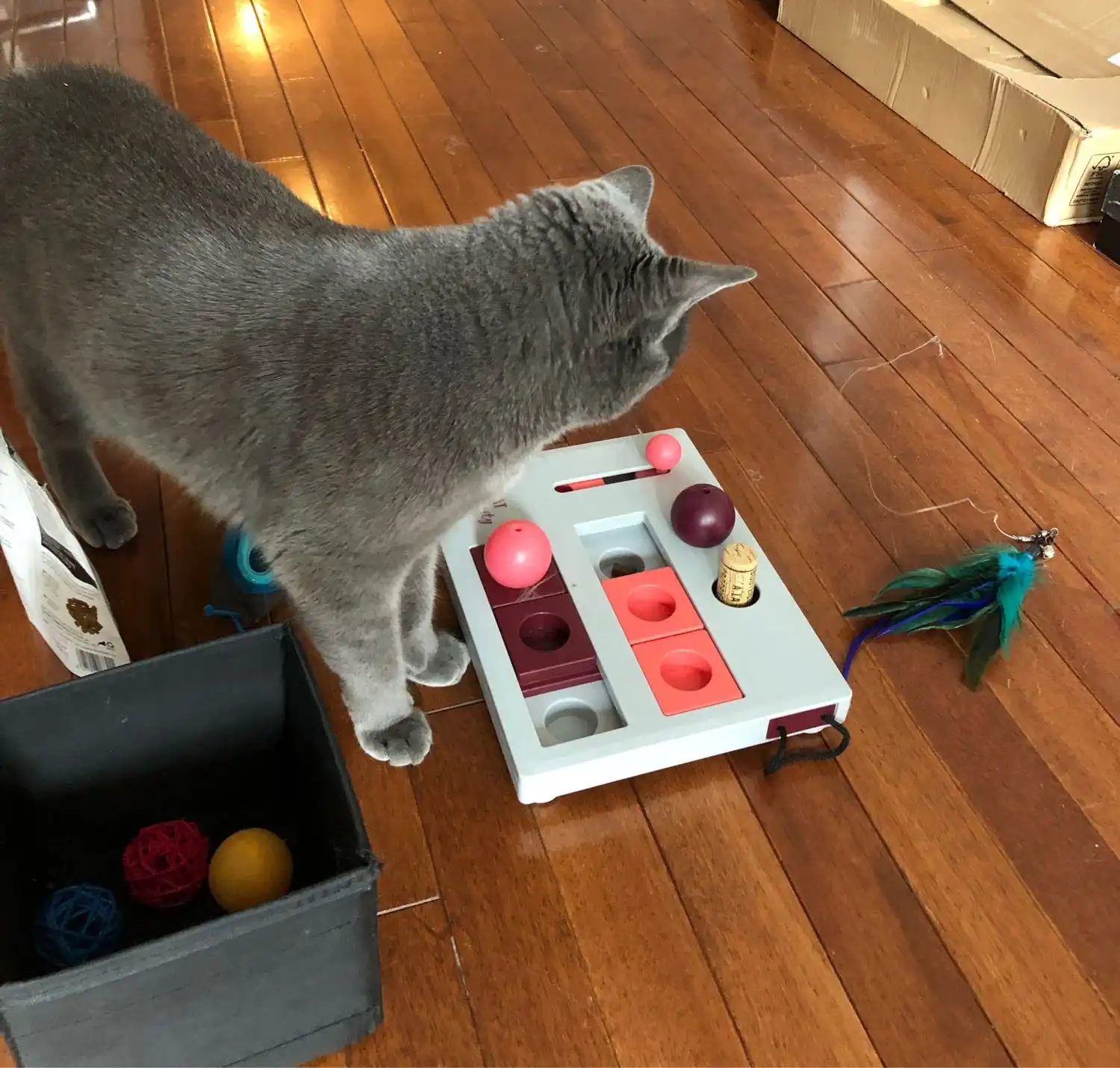 image-10