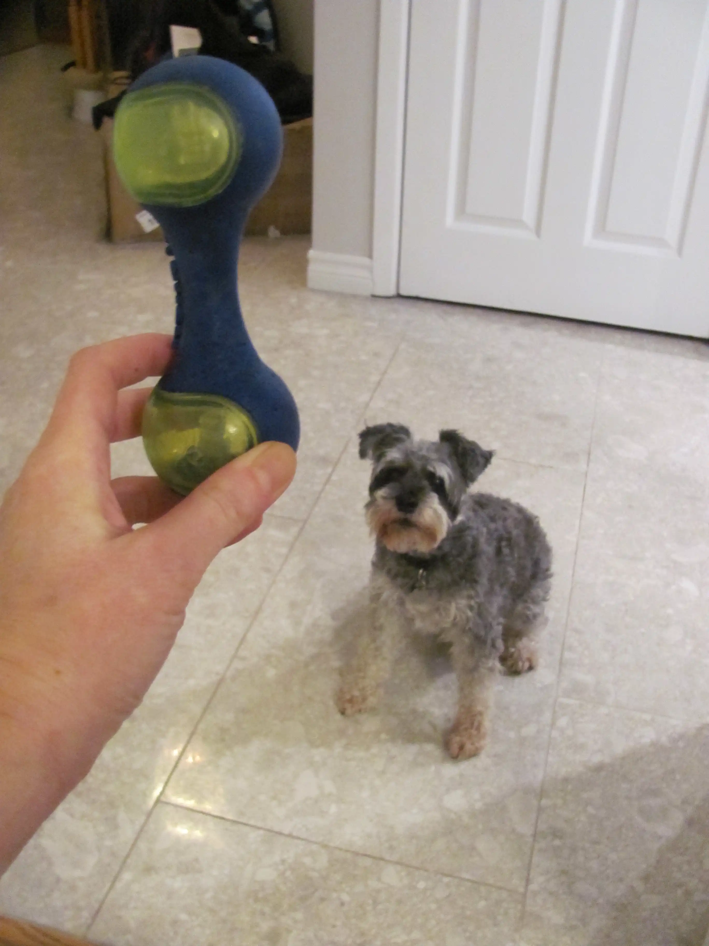 image-12