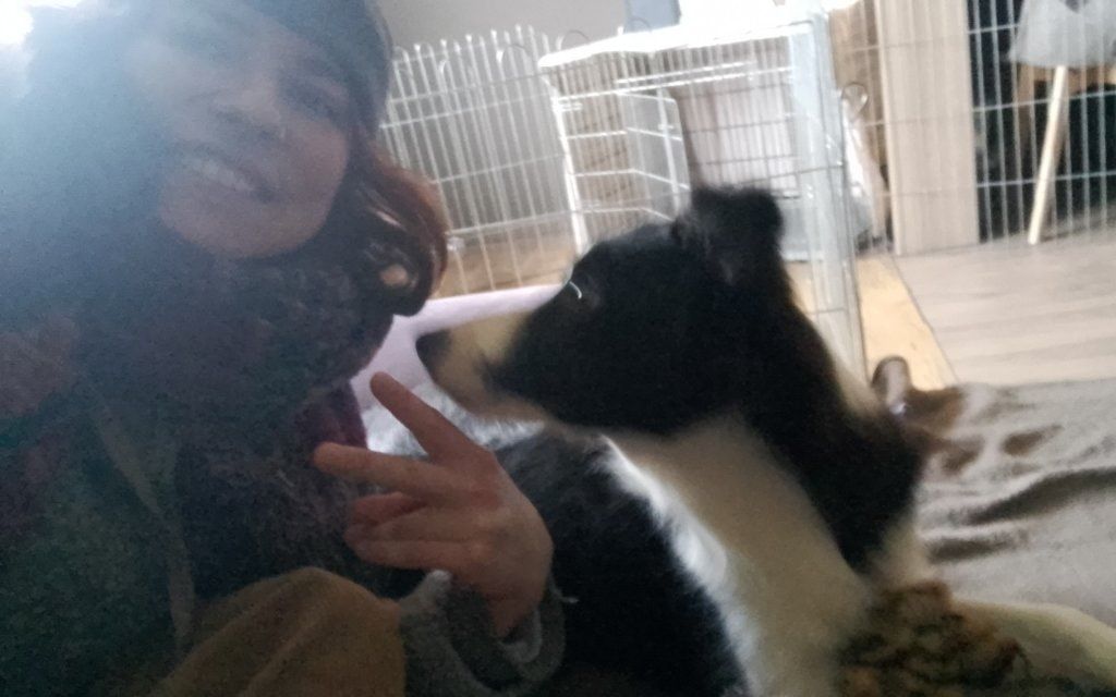 image-6