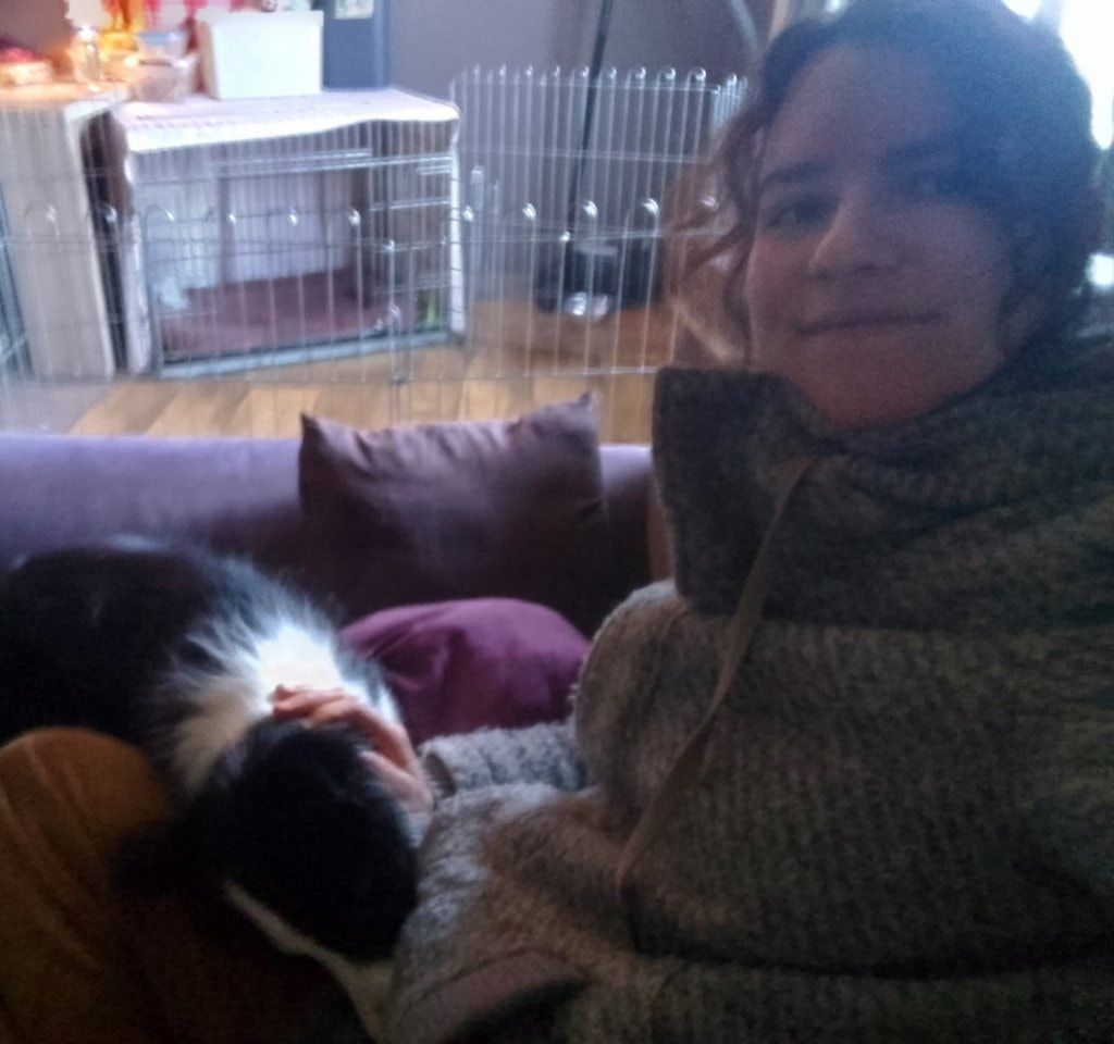 image-7