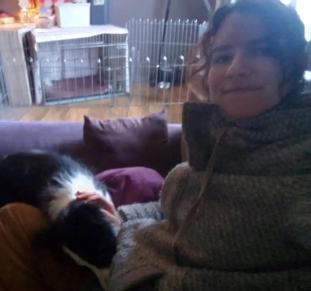 image-7