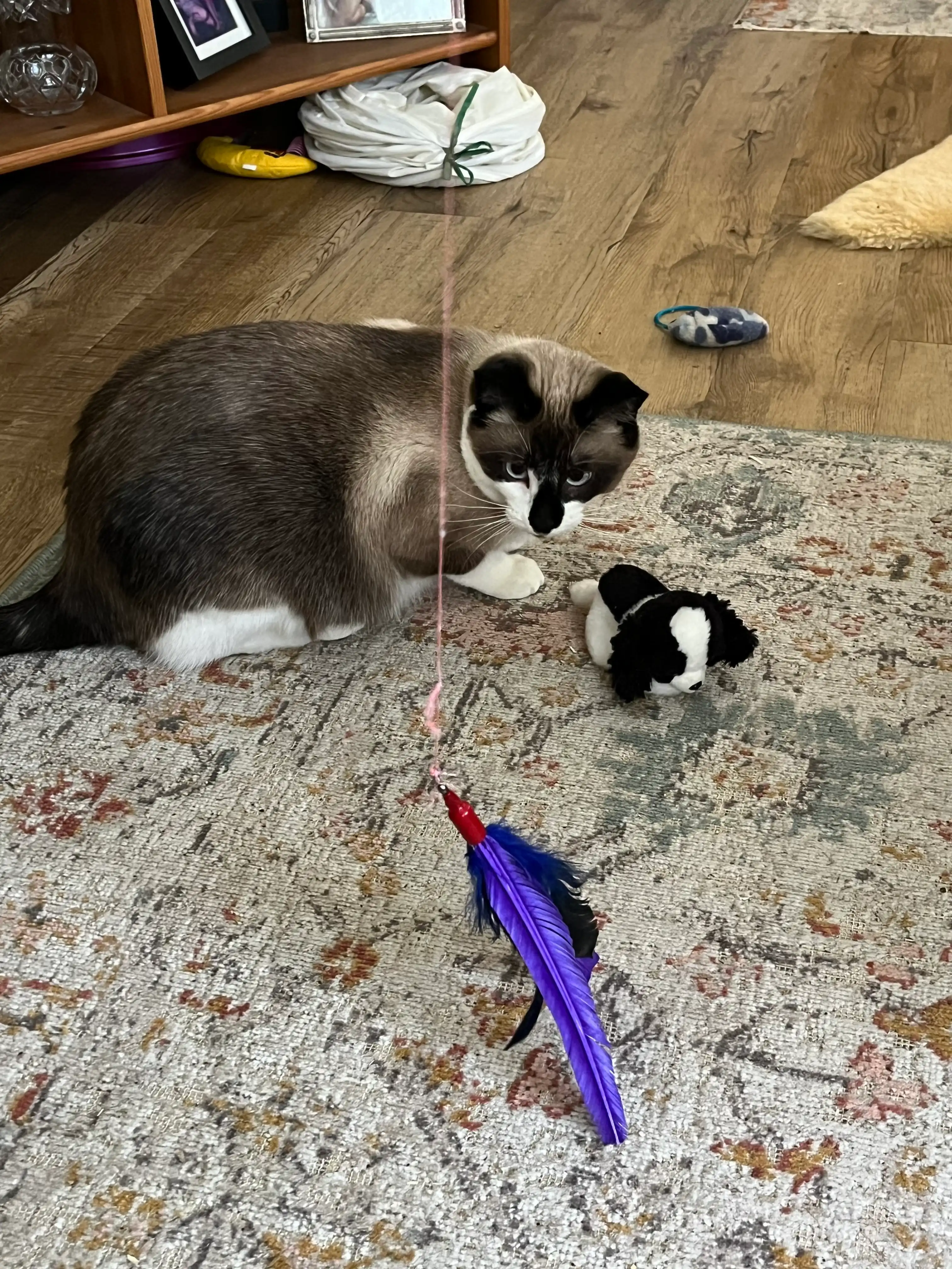 image-12