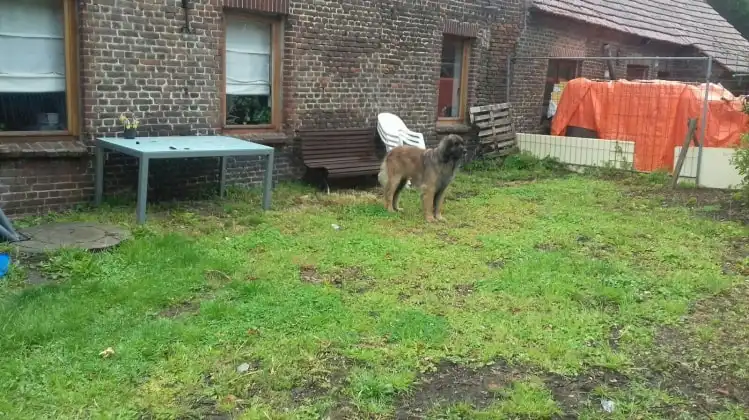 image-8