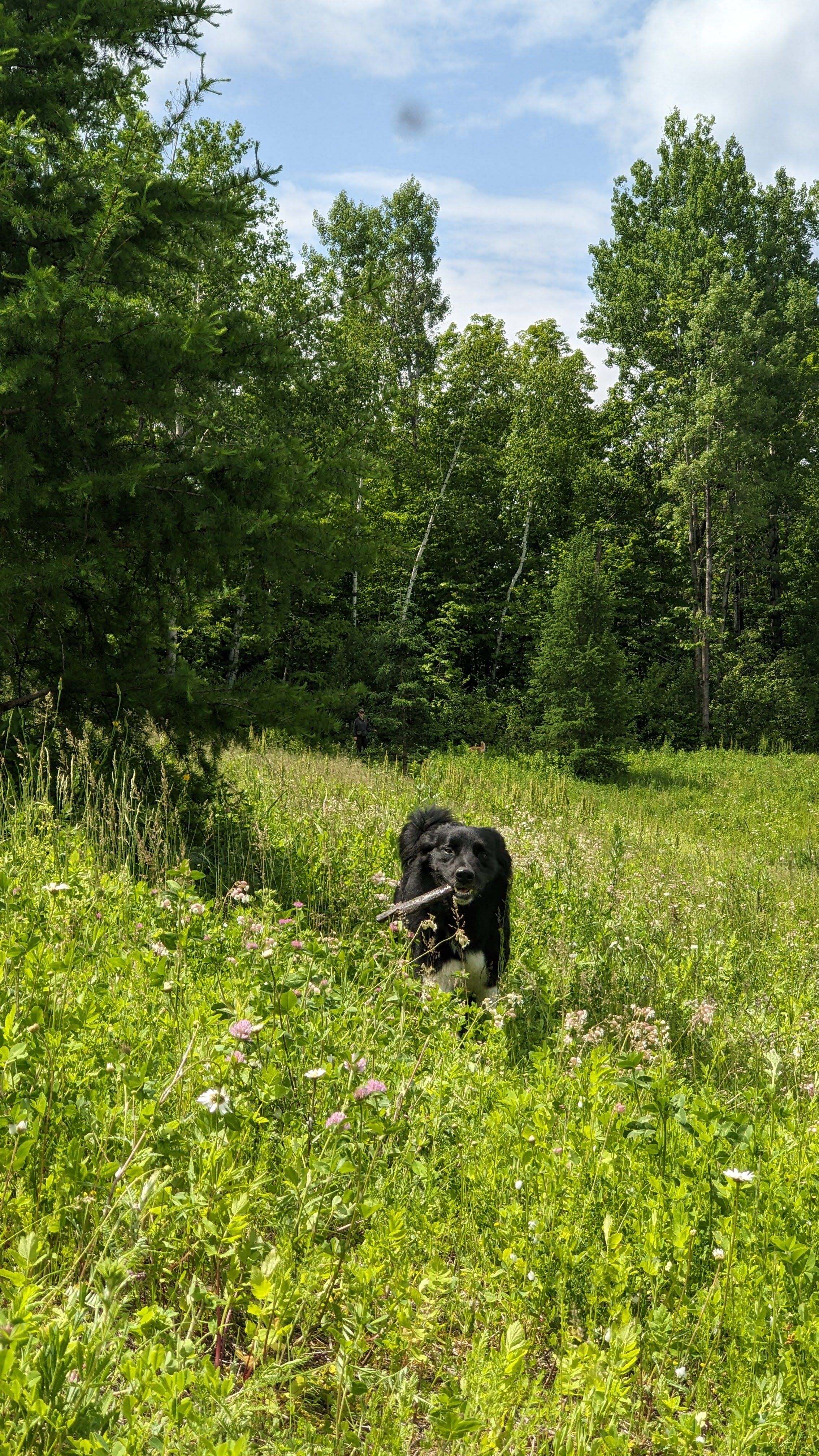 image-12