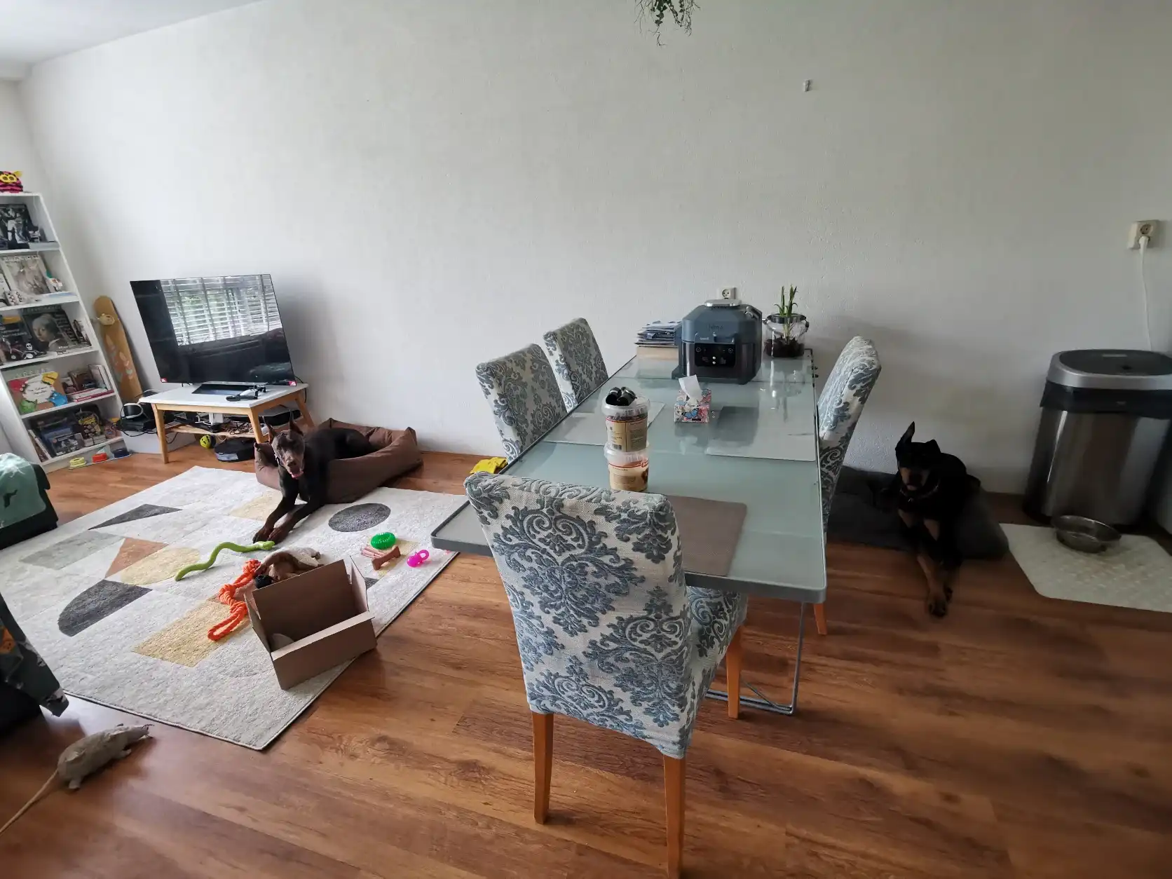 image-10