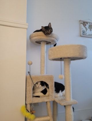 image-3