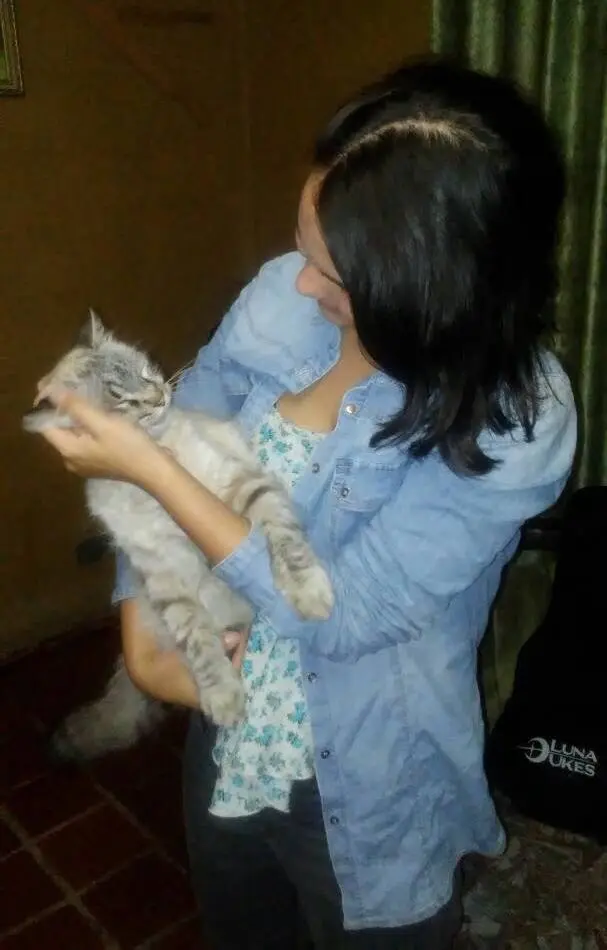 image-4