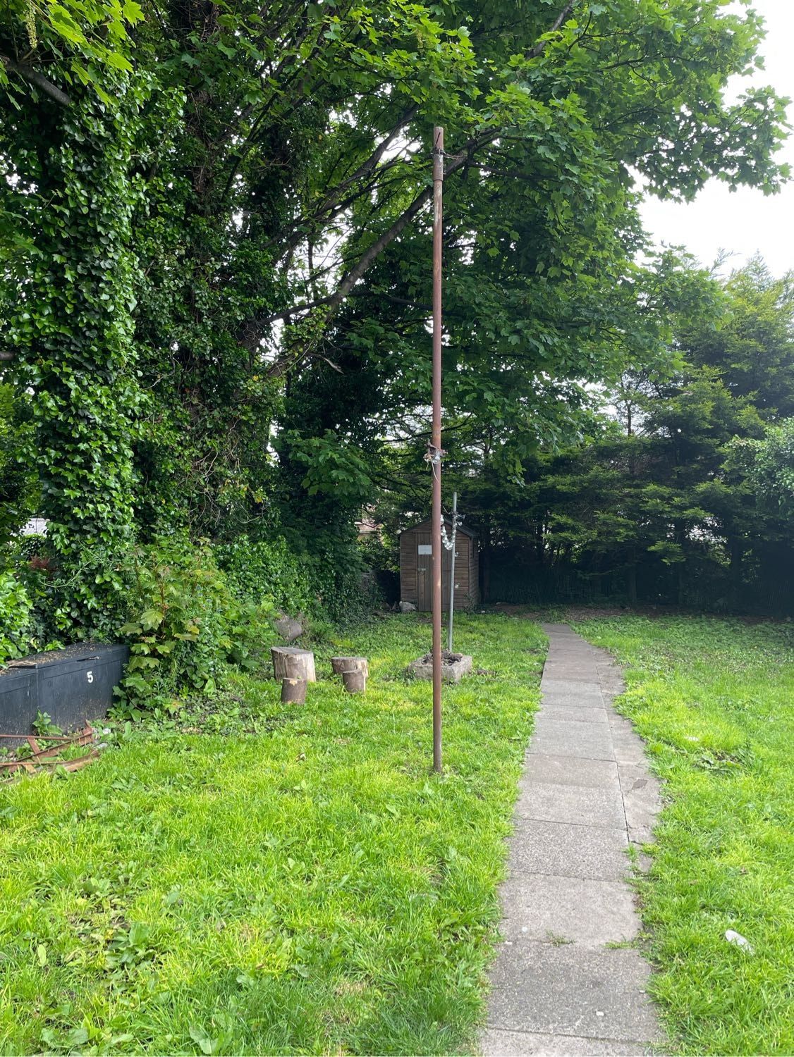 image-6