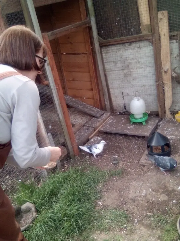 image-4