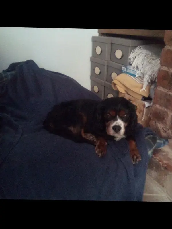 image-2