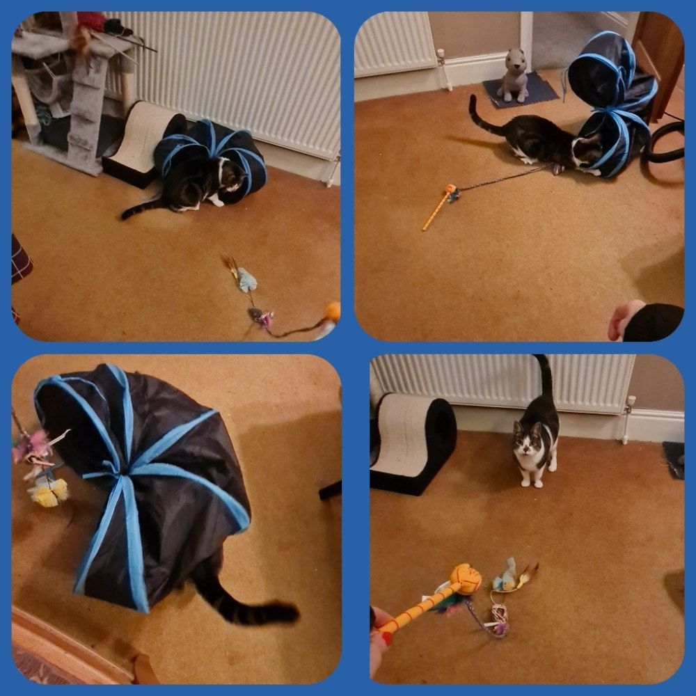 image-22