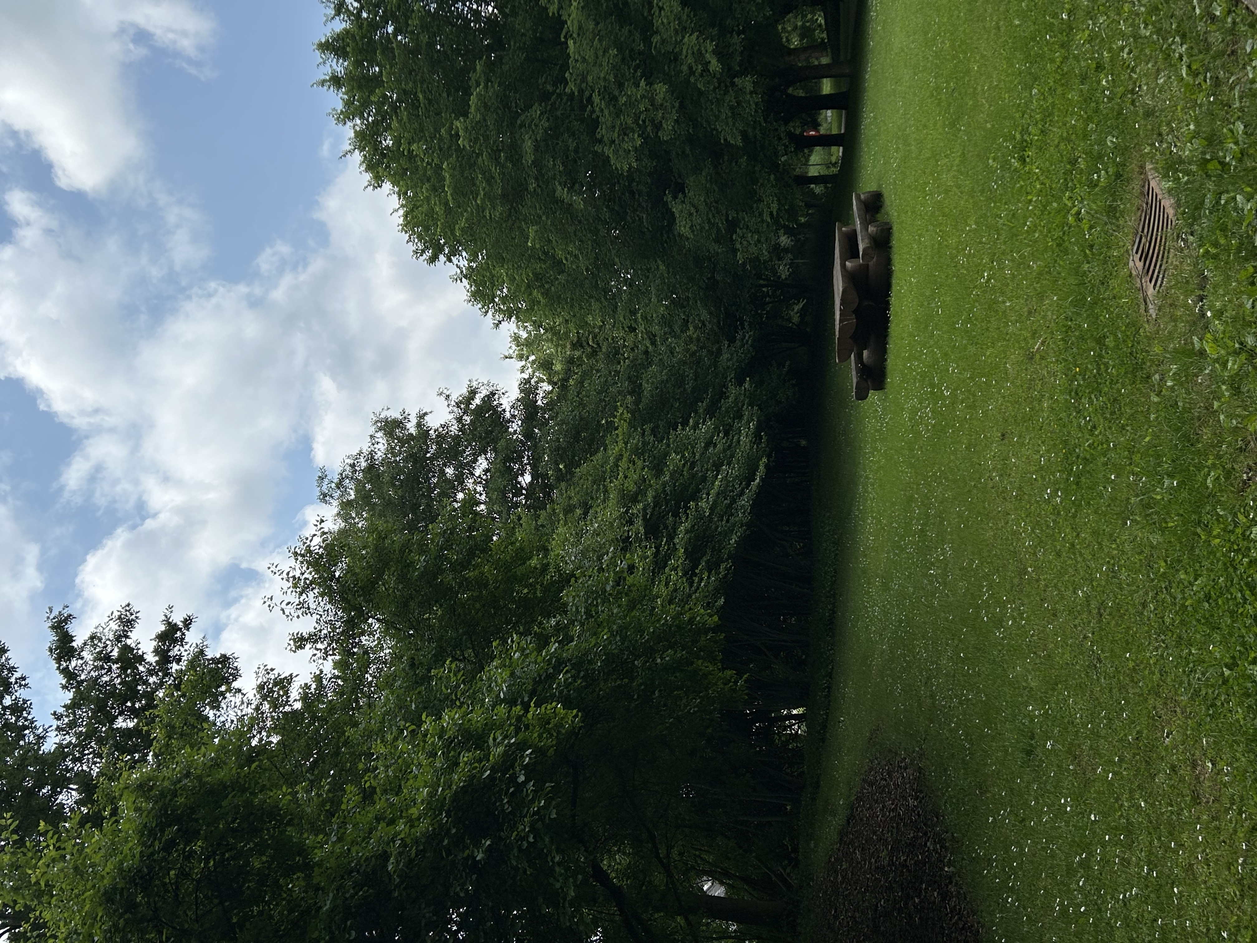 image-14