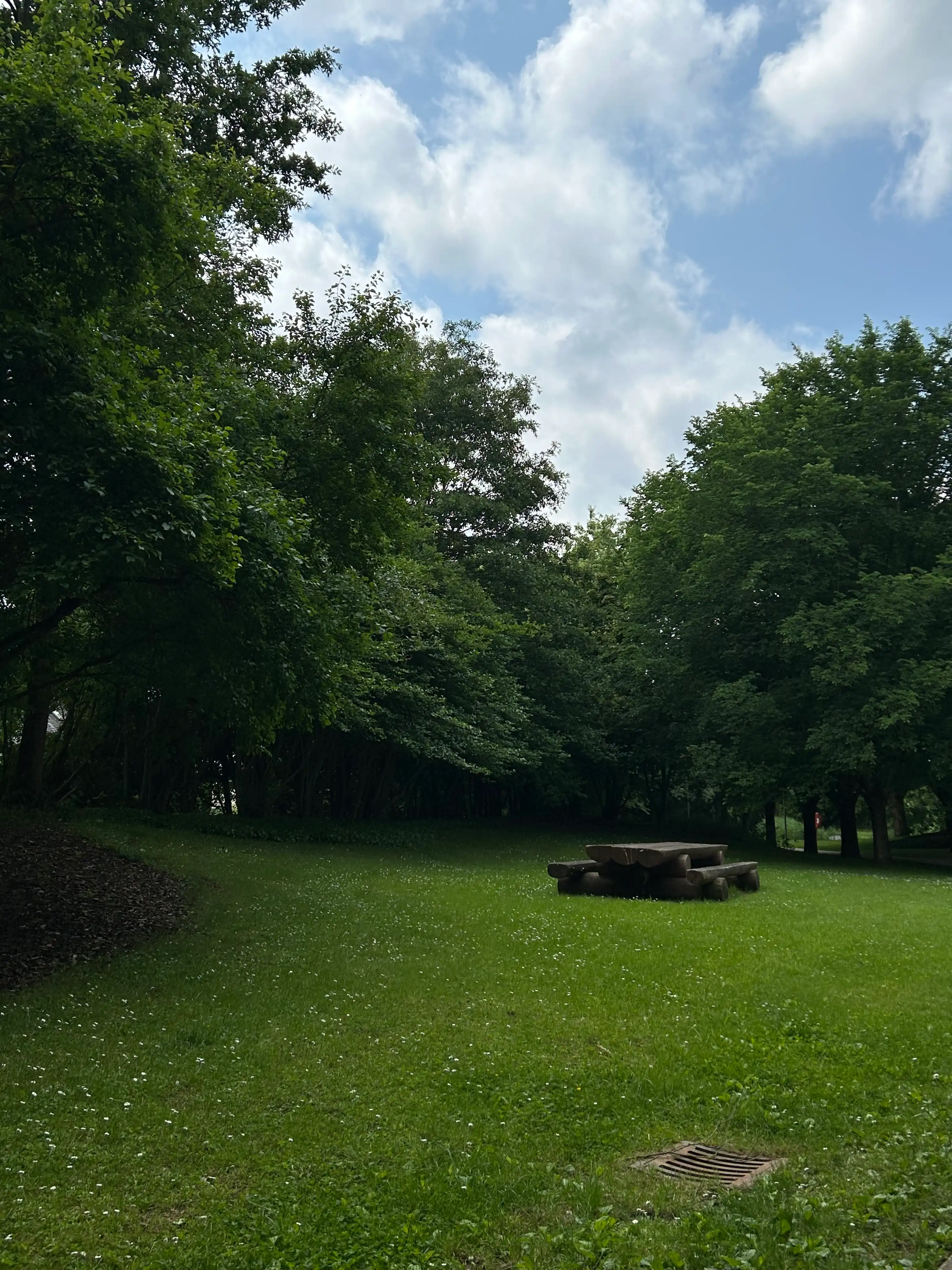 image-14