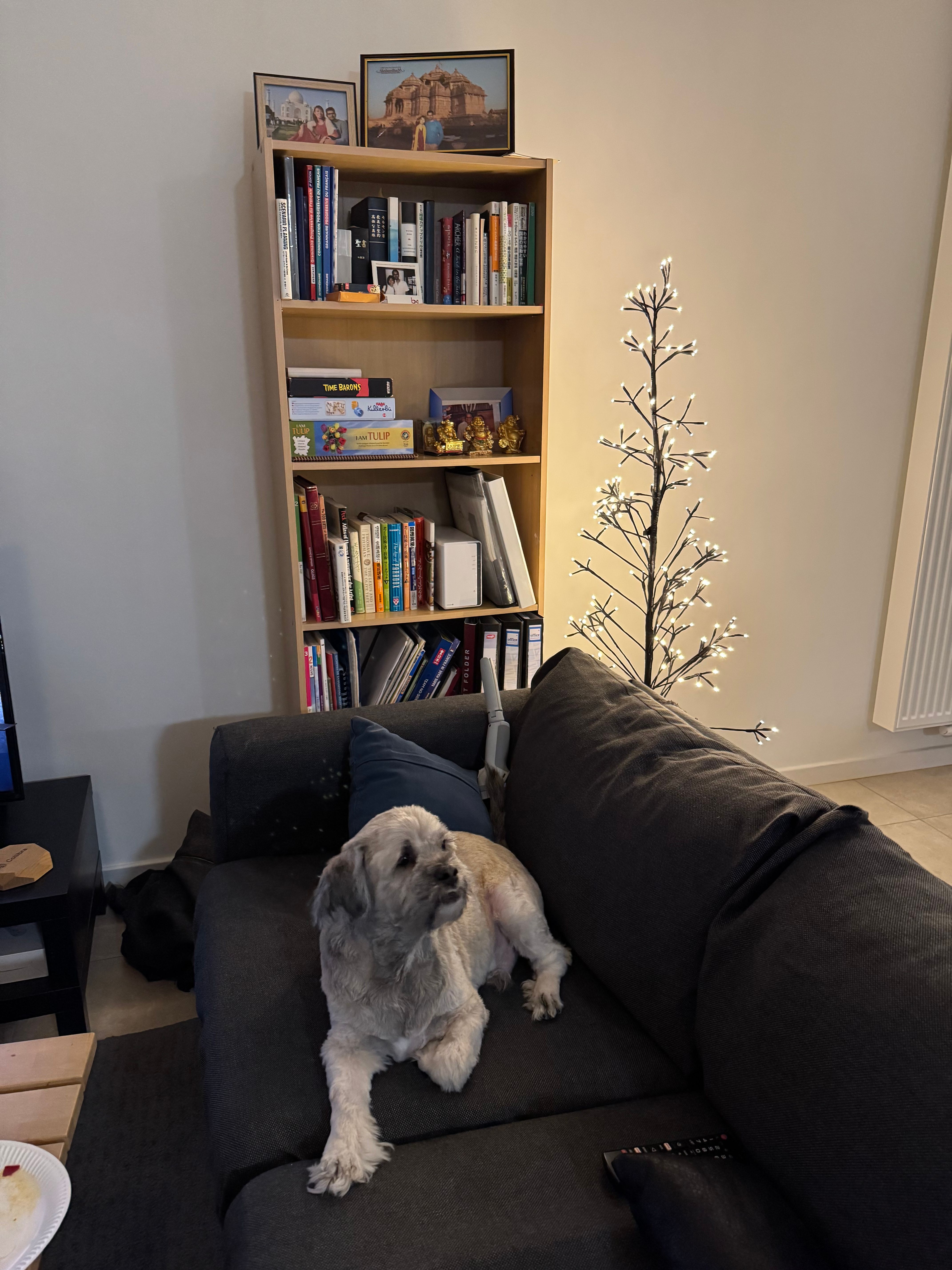 image-13