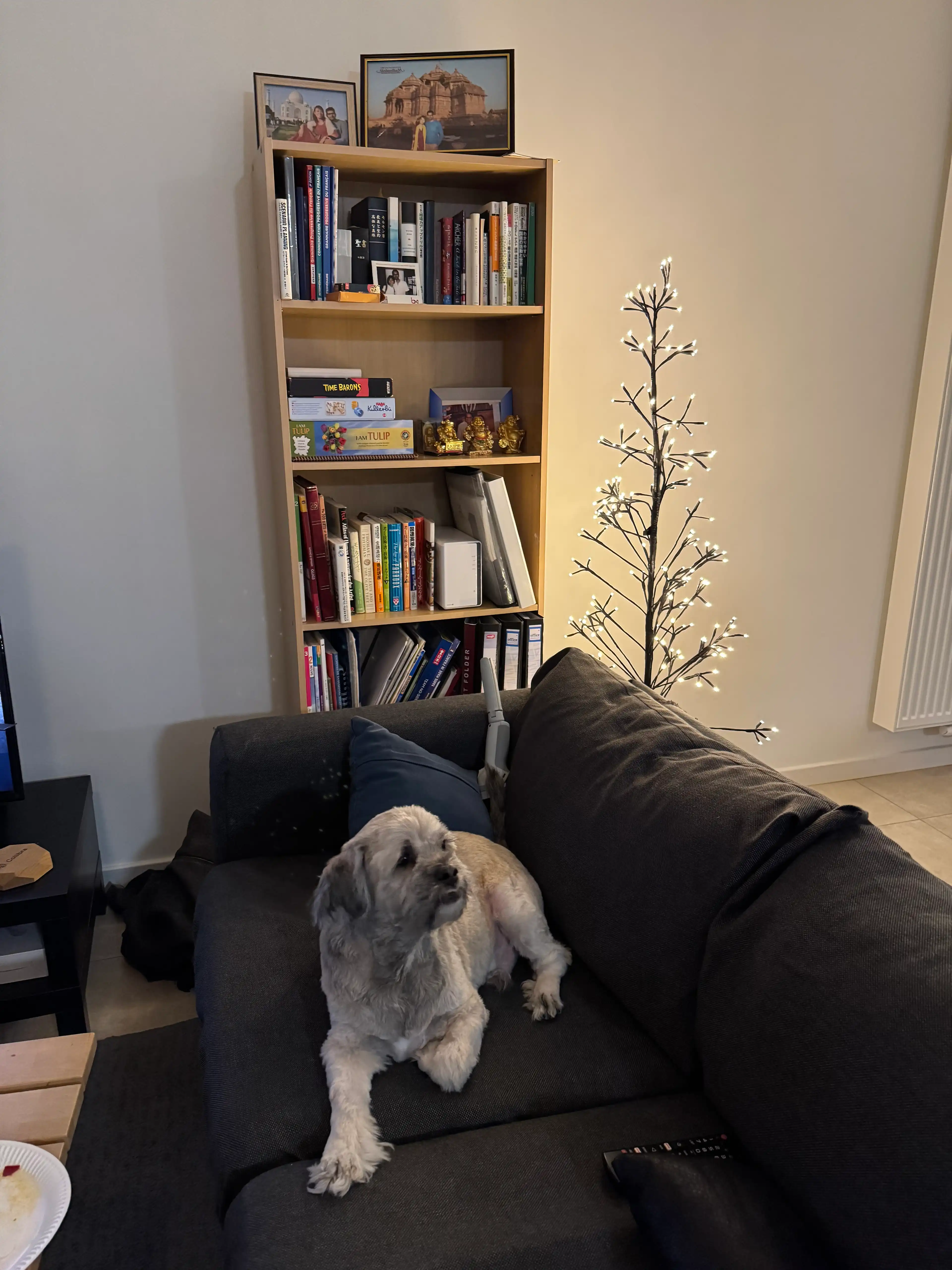 image-13
