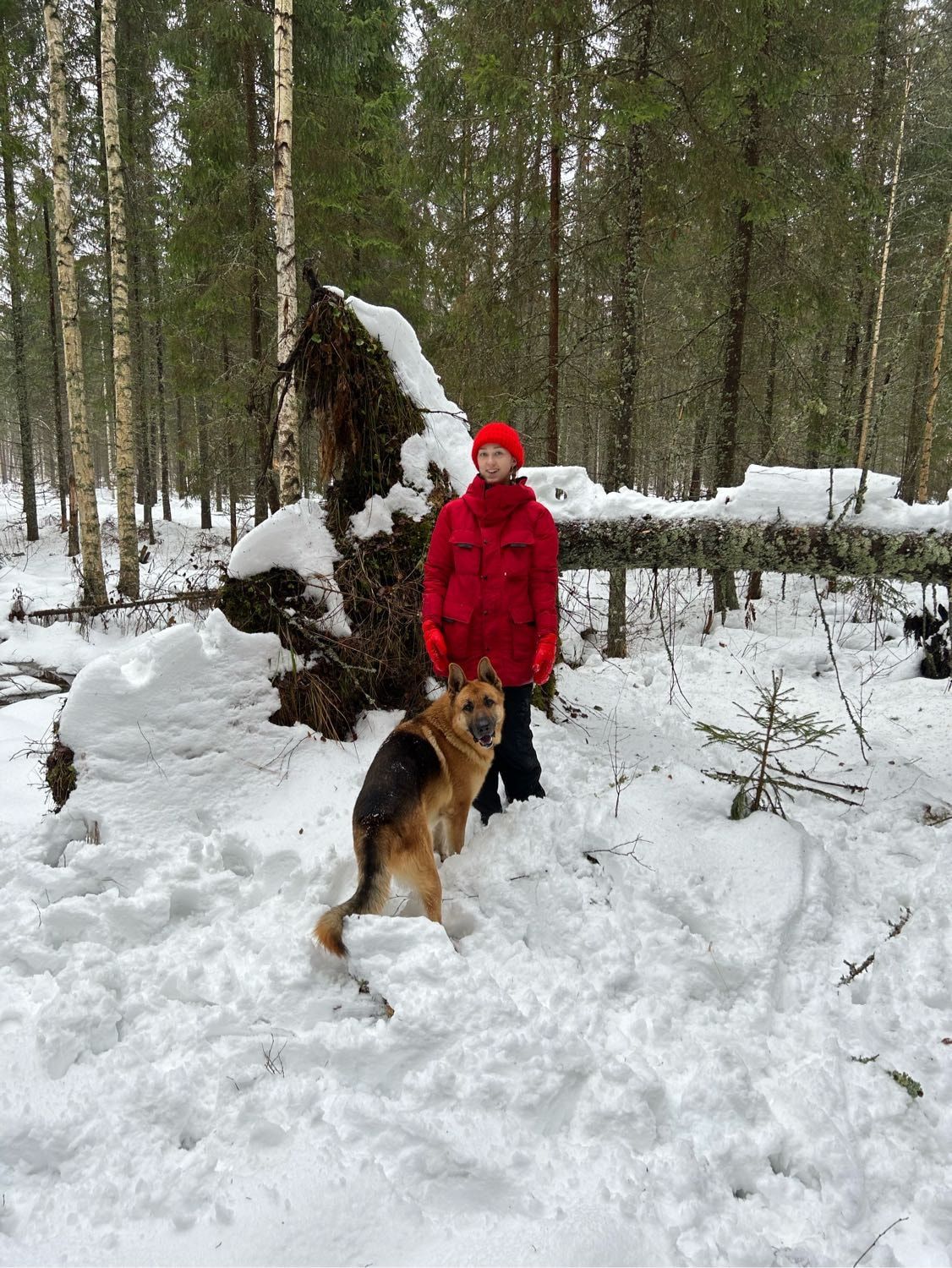image-4