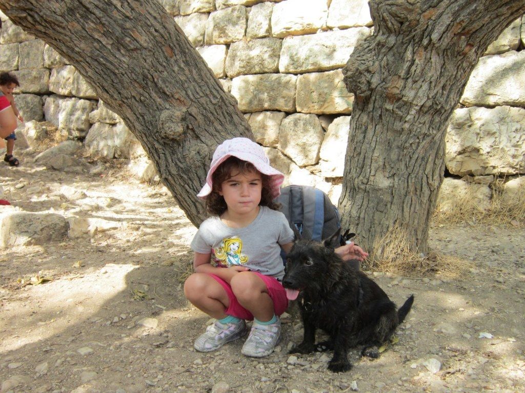 image-5