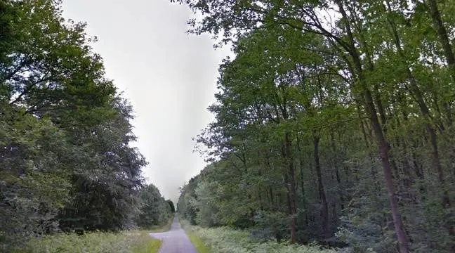 image-4
