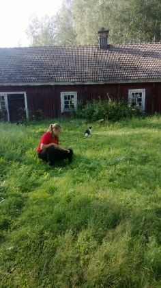 image-1
