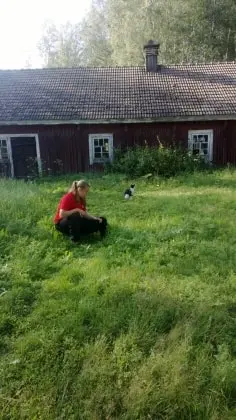 image-1