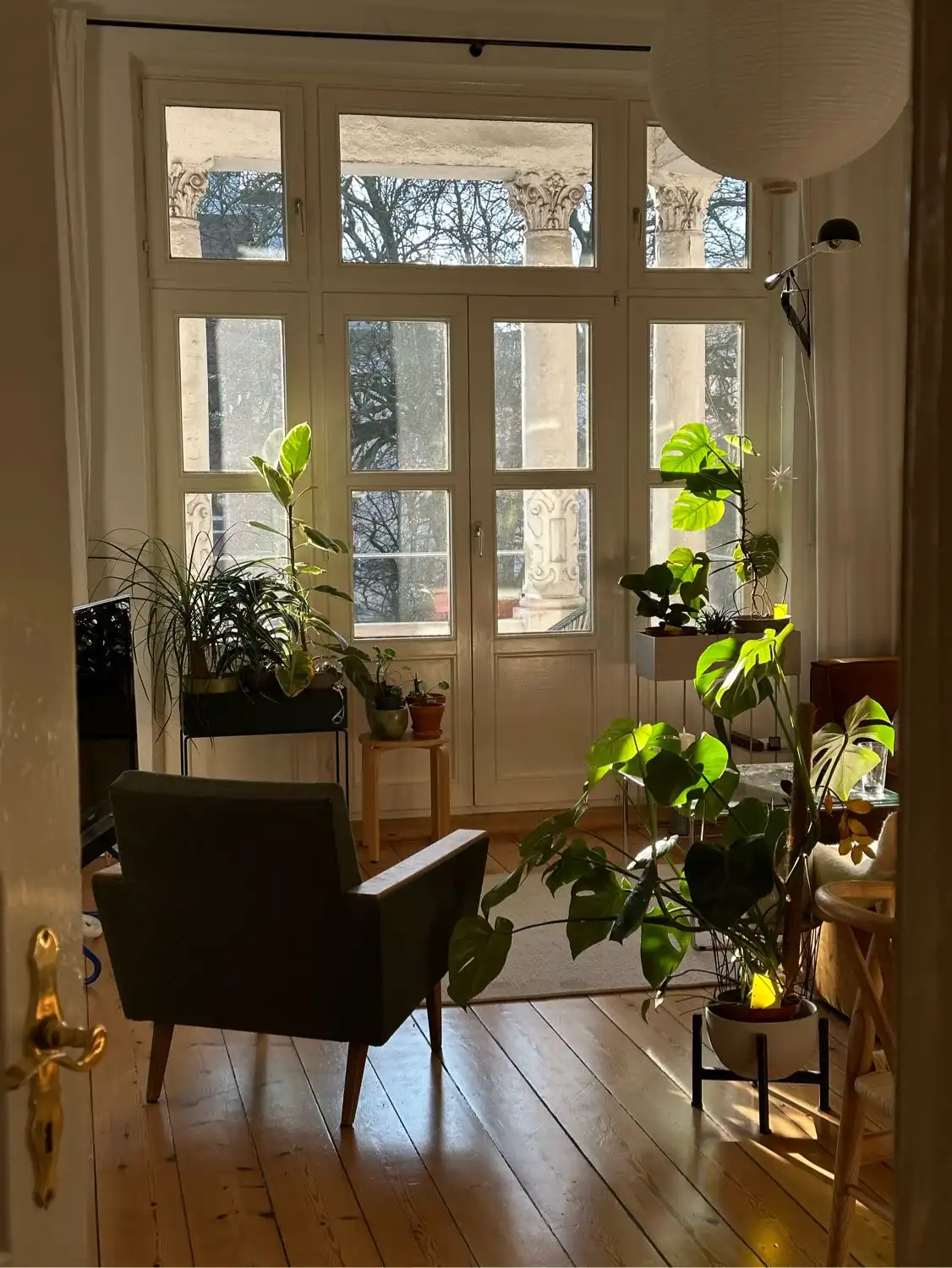 image-15