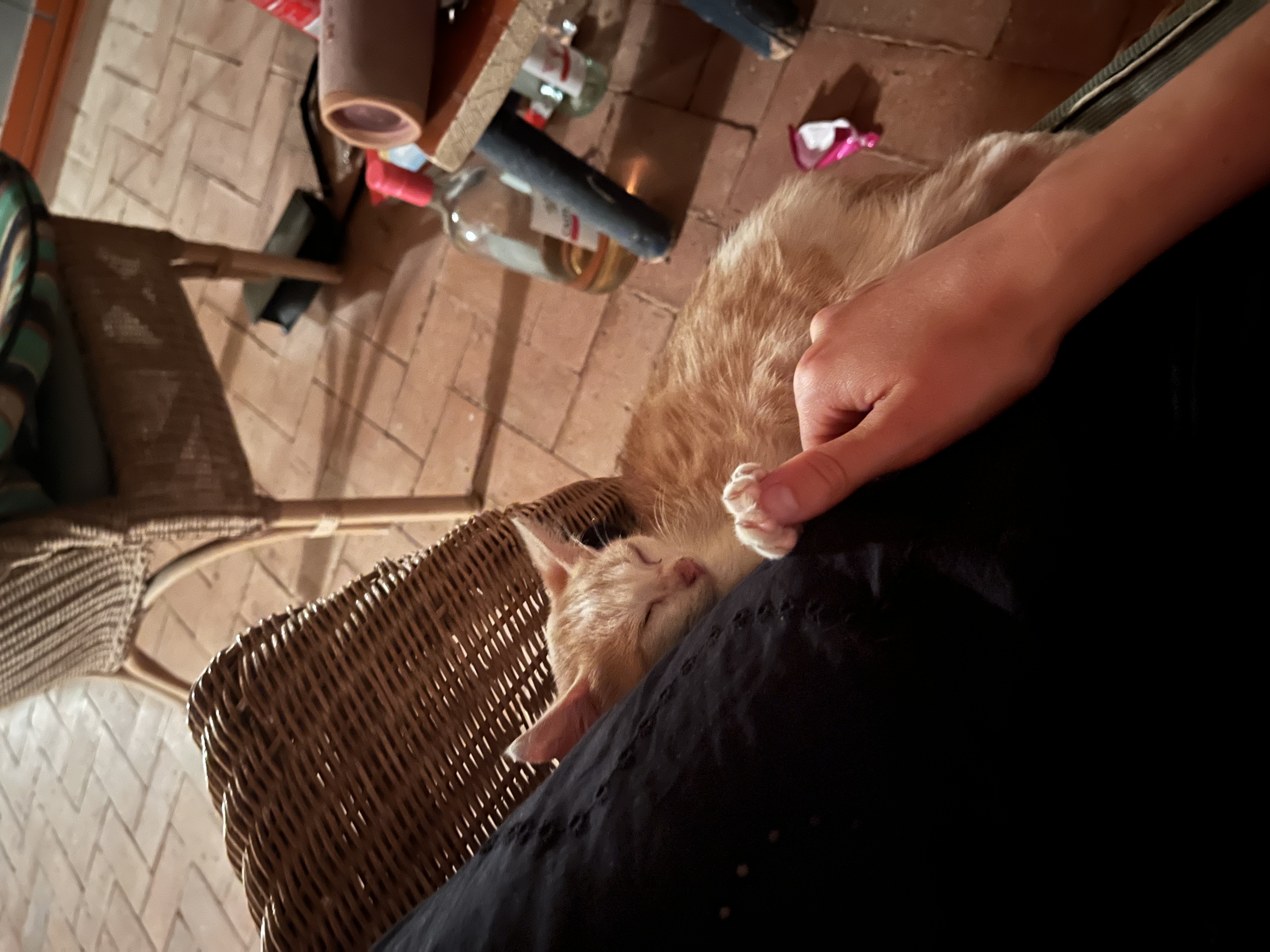 image-6