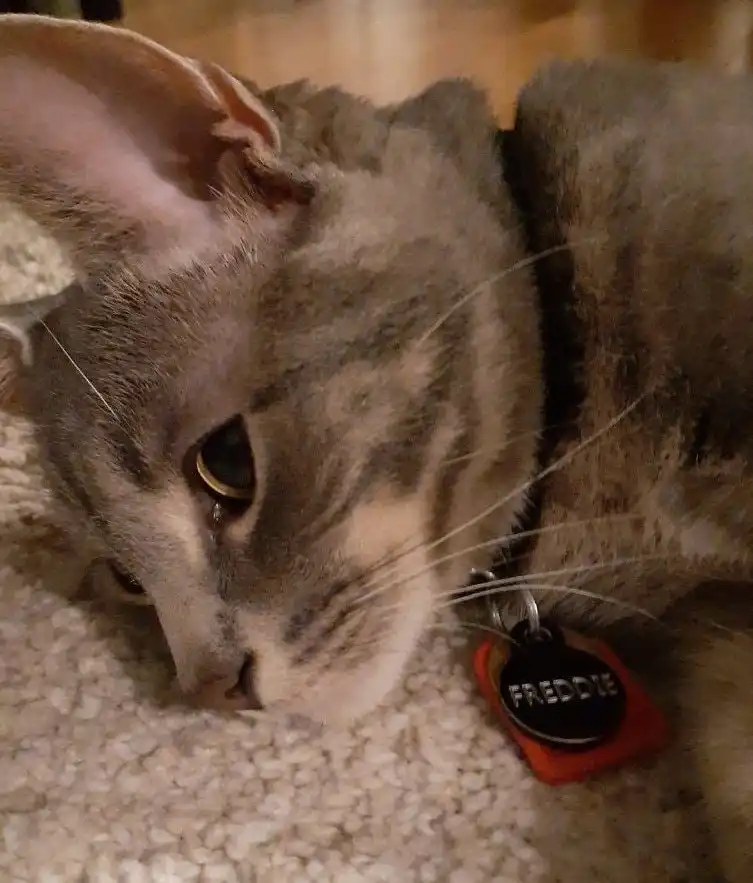 image-6