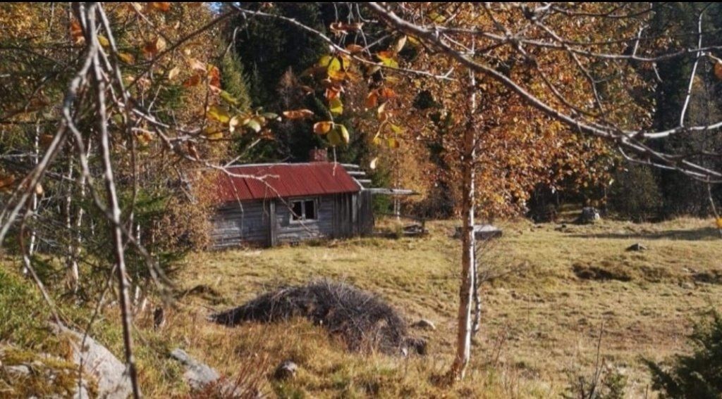 image-18