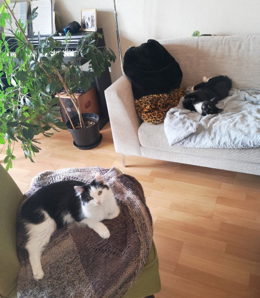 image-8