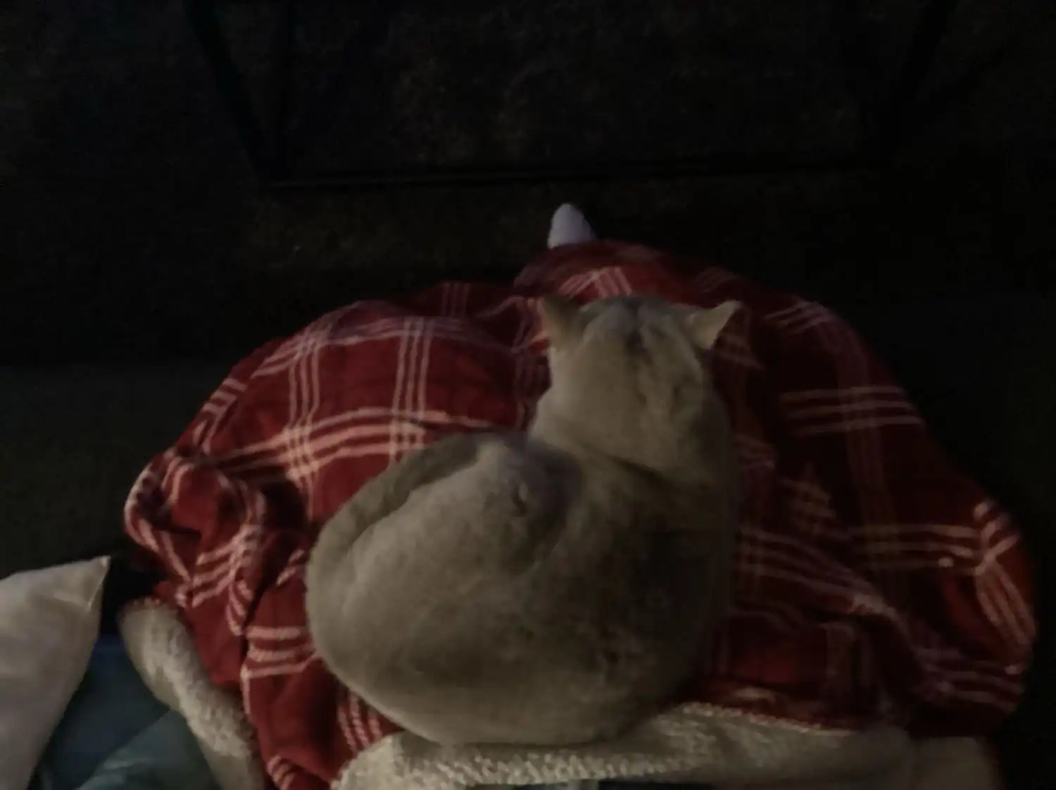 image-15