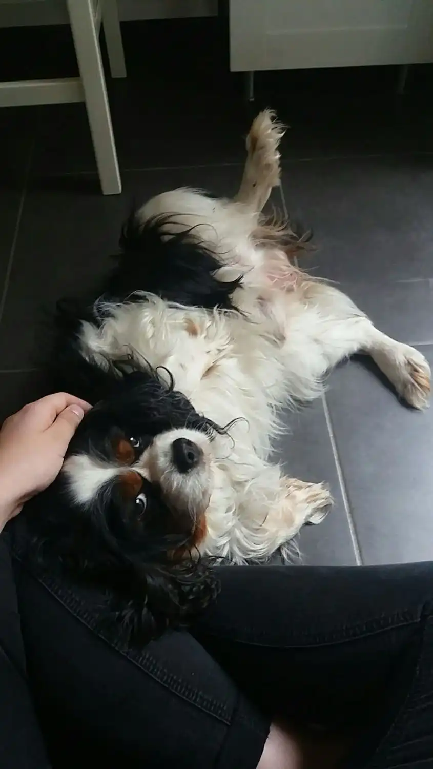 image-9