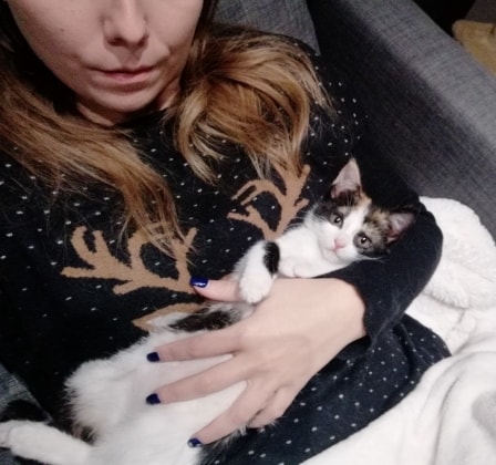 image-8
