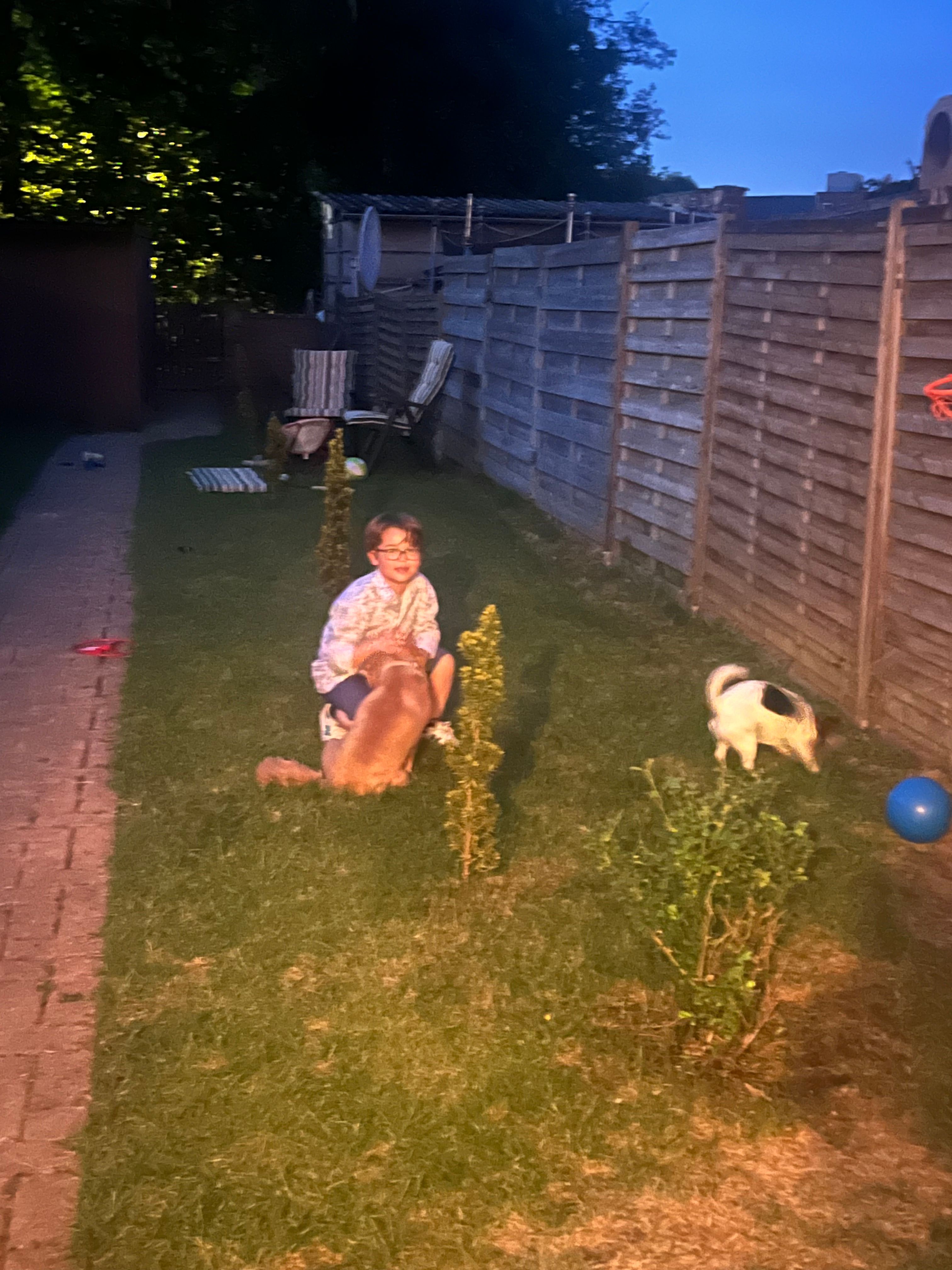 image-6
