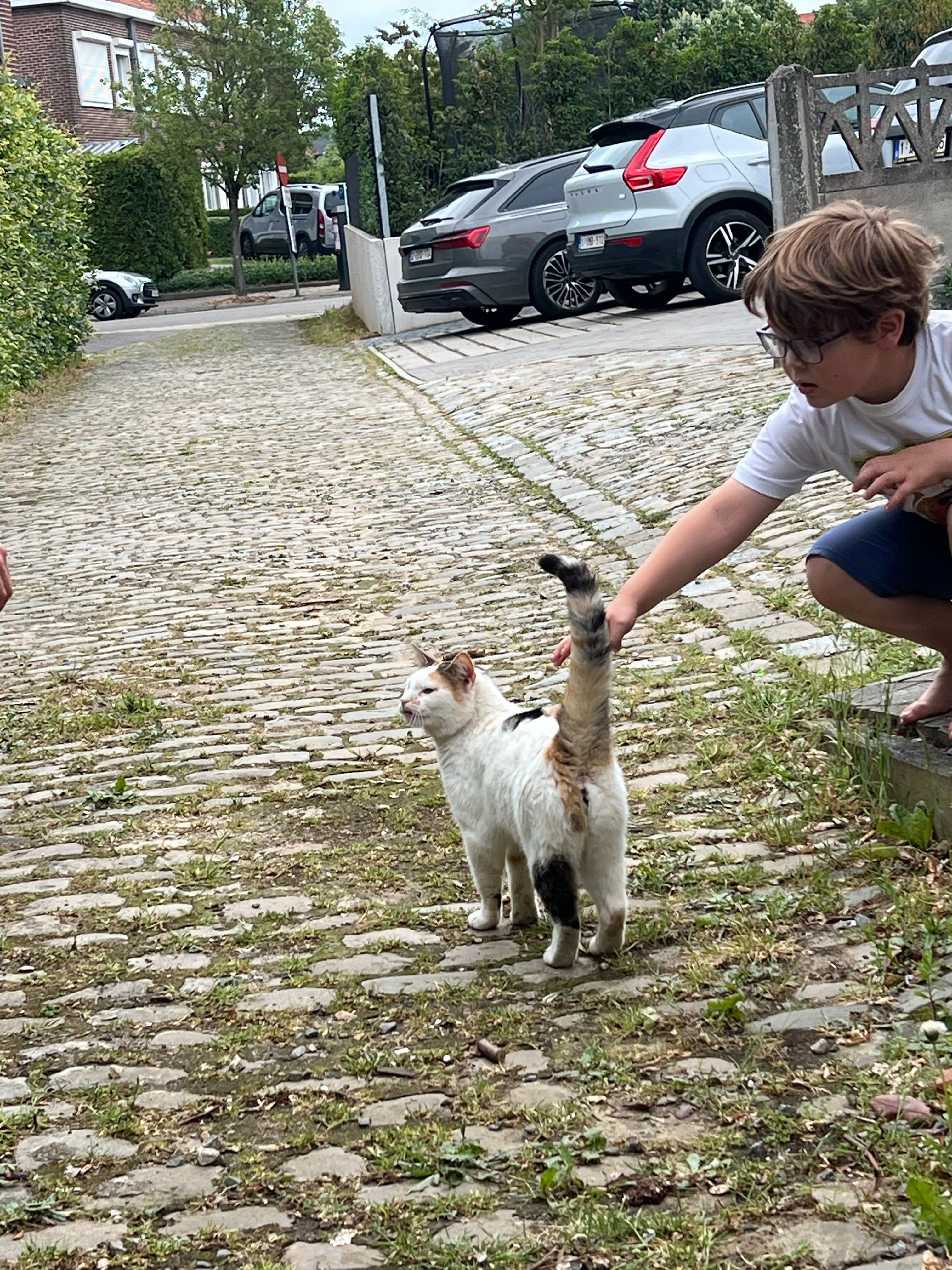 image-18