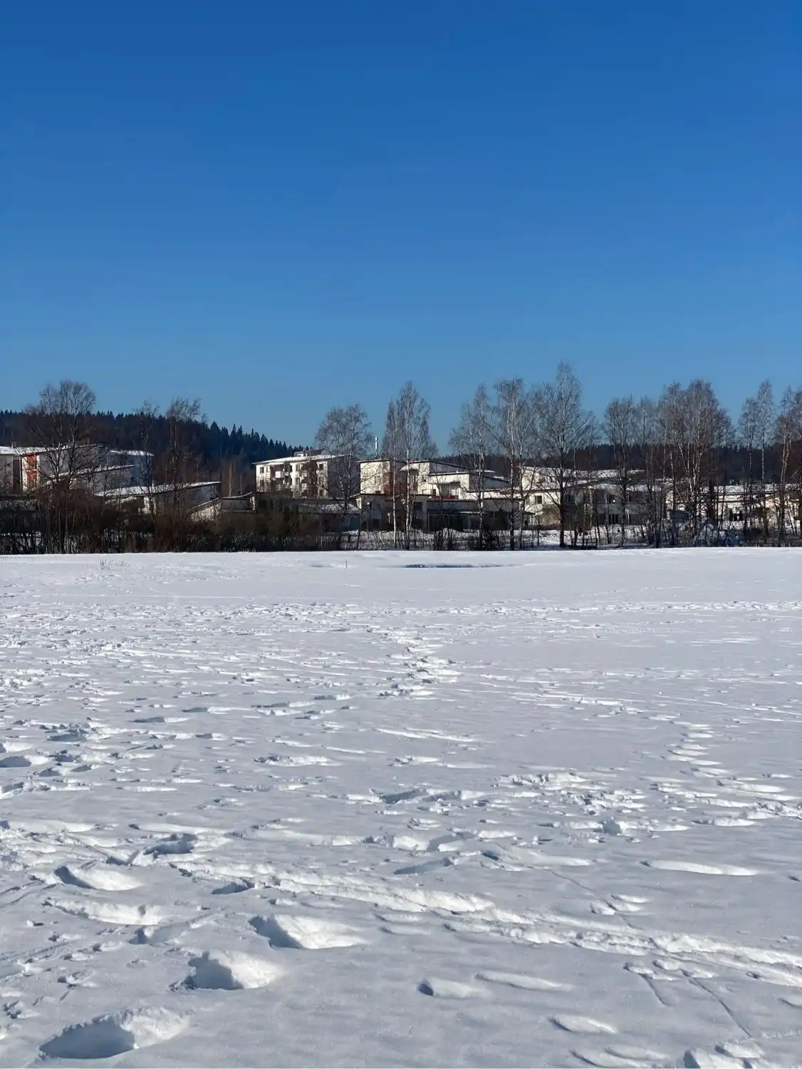 image-18