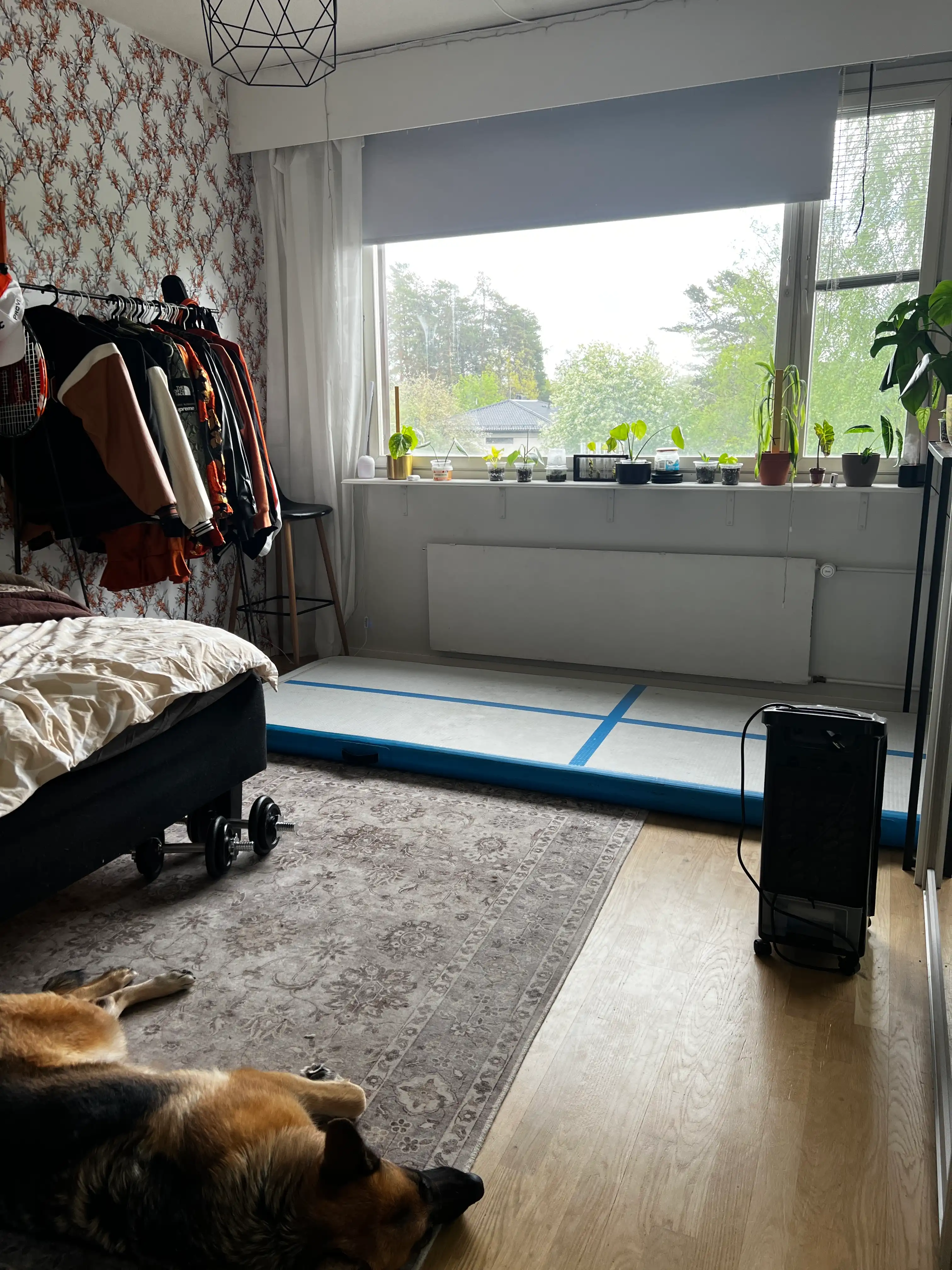 image-19