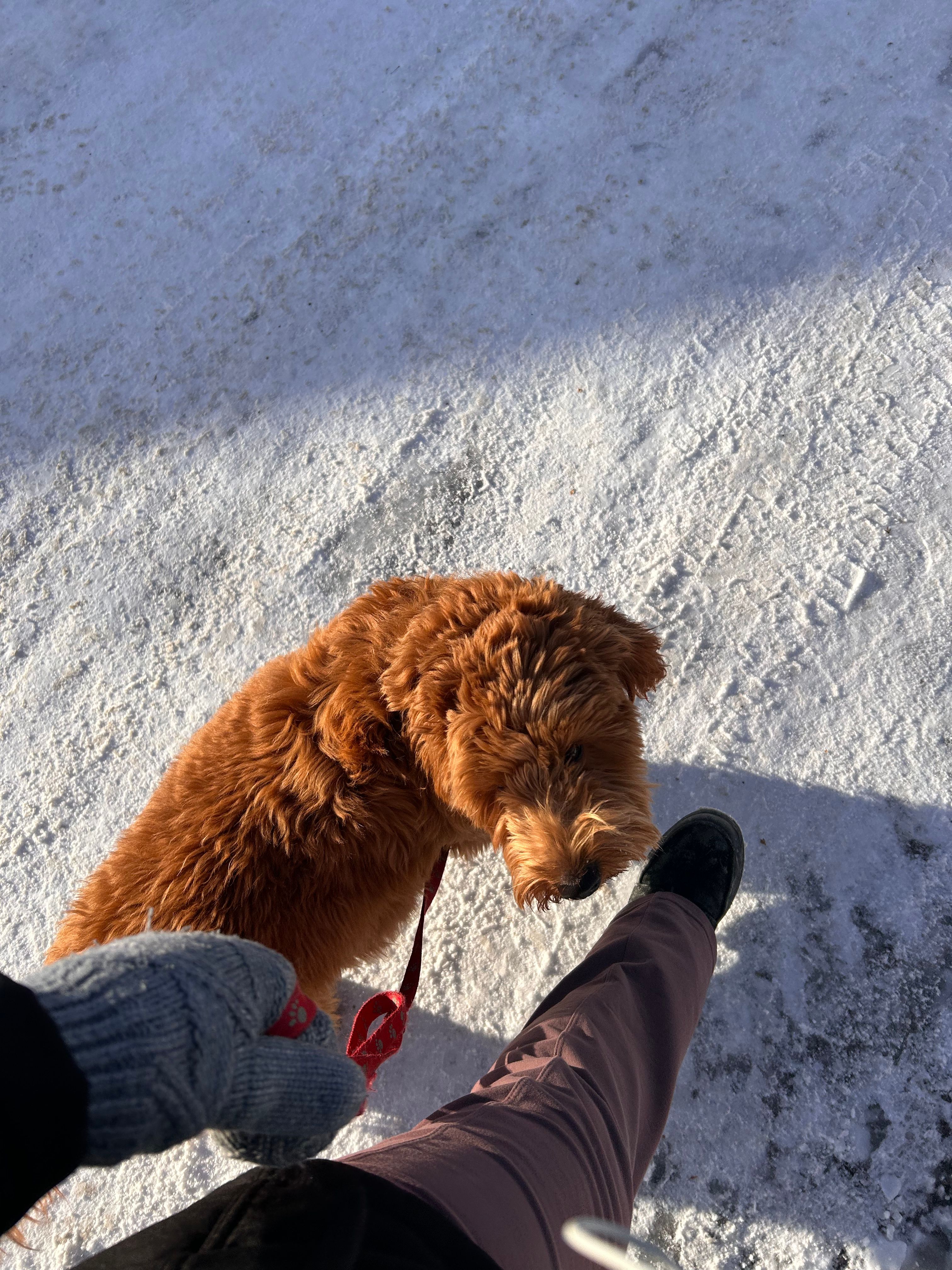 image-5
