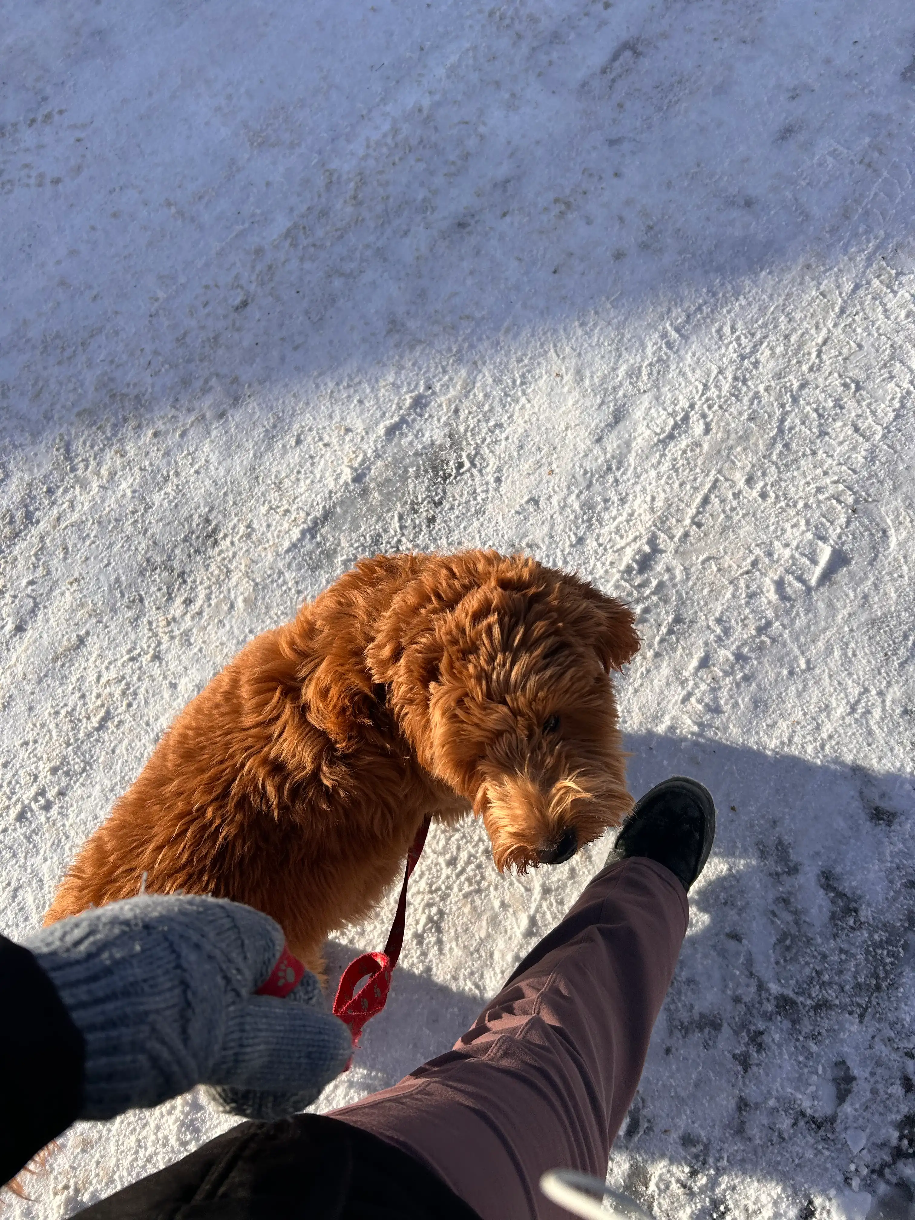 image-5