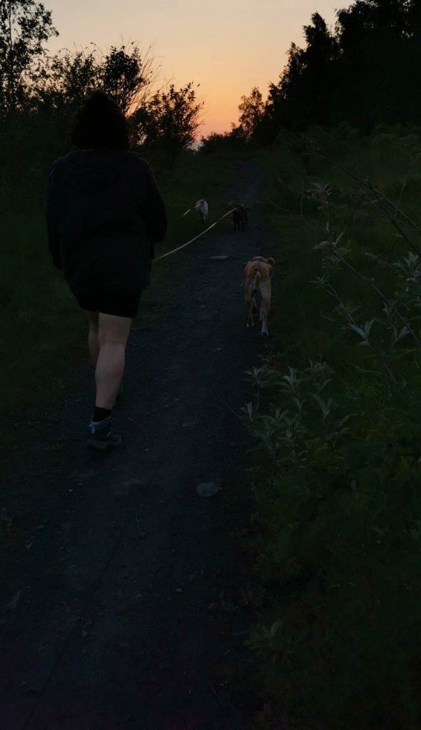 image-3