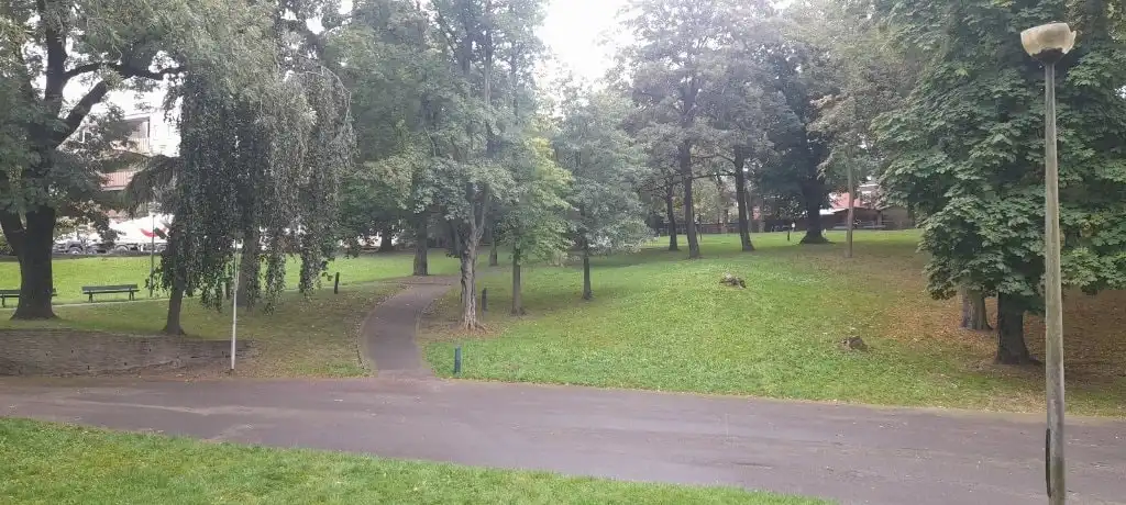 image-10