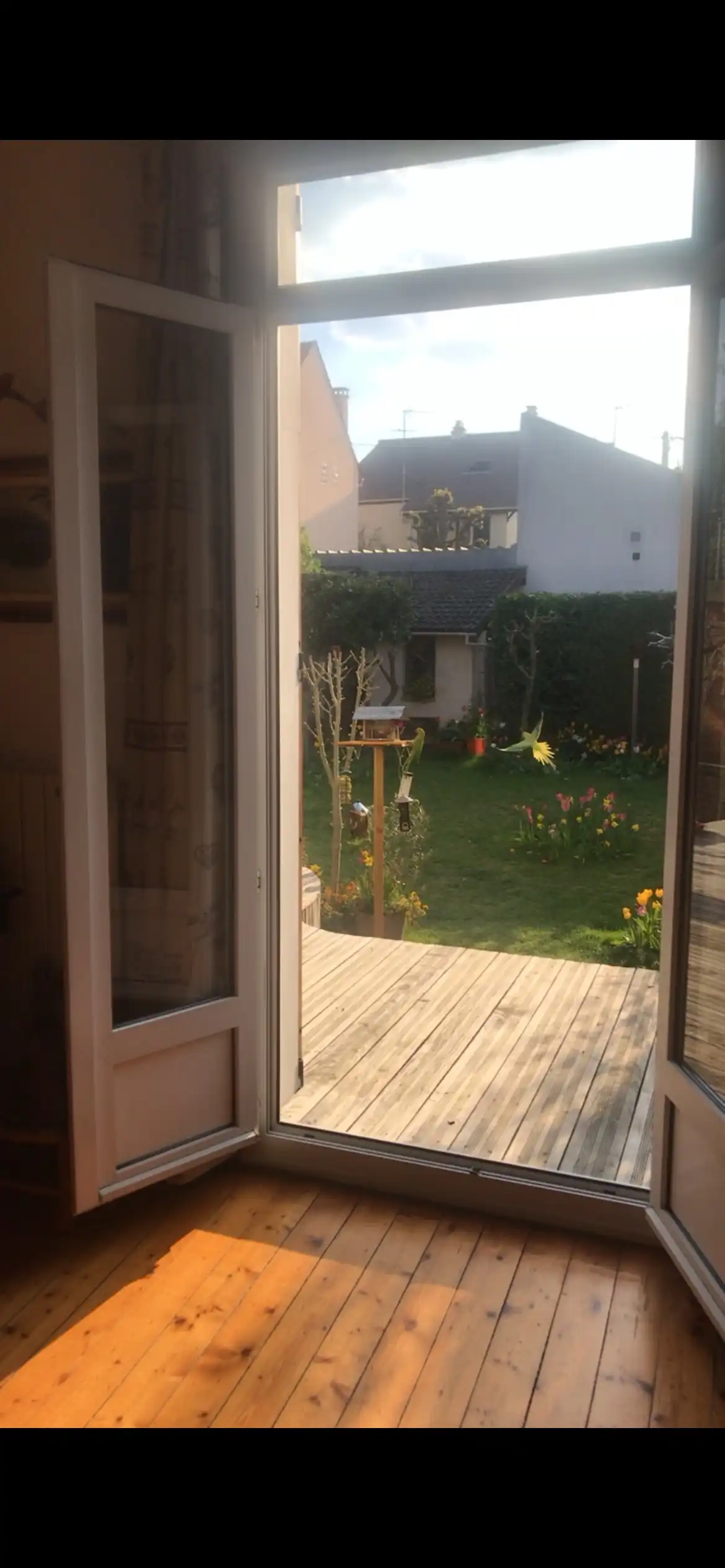 image-20
