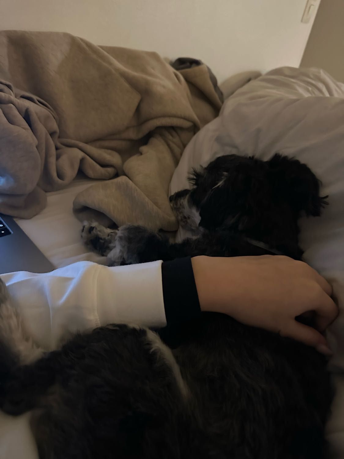 image-9