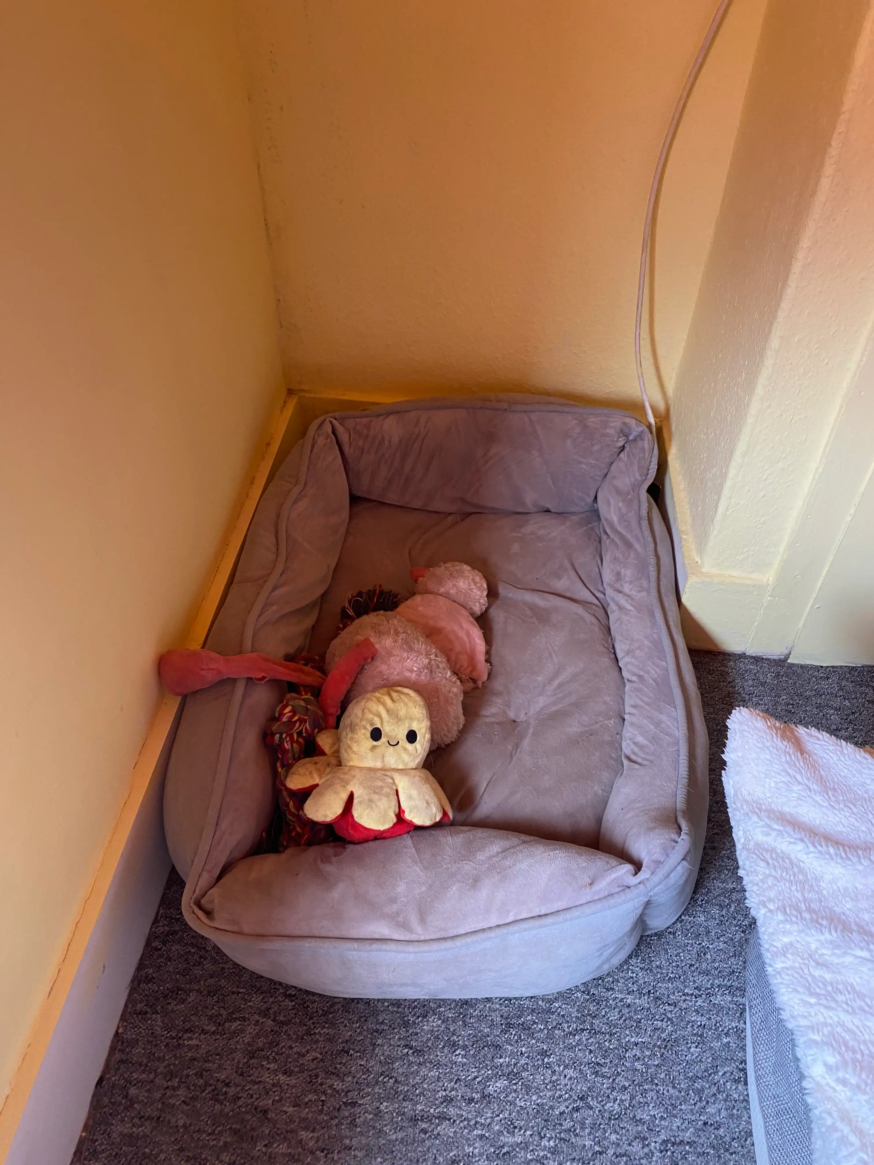 image-19